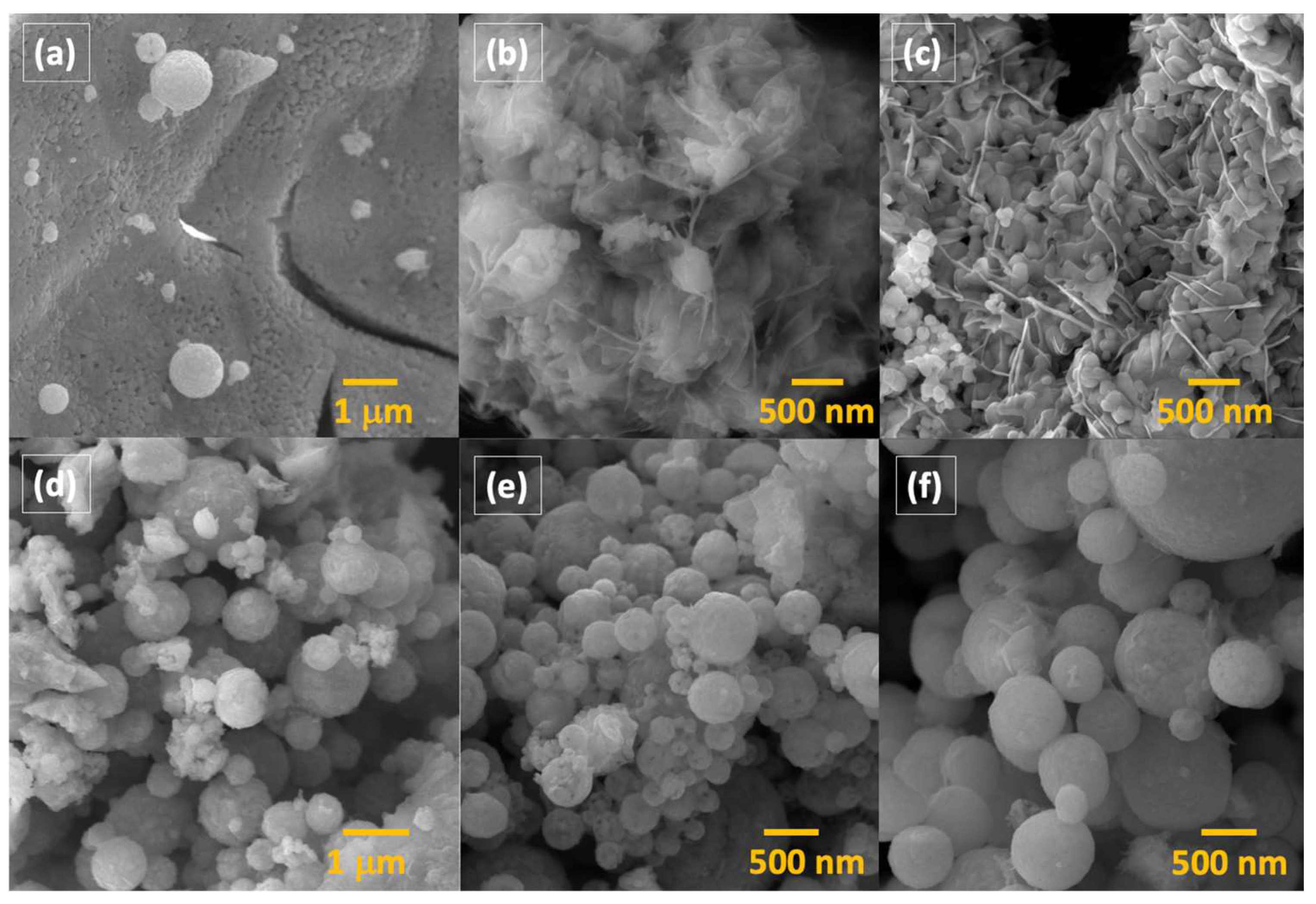 Molecules 29 03592 g002