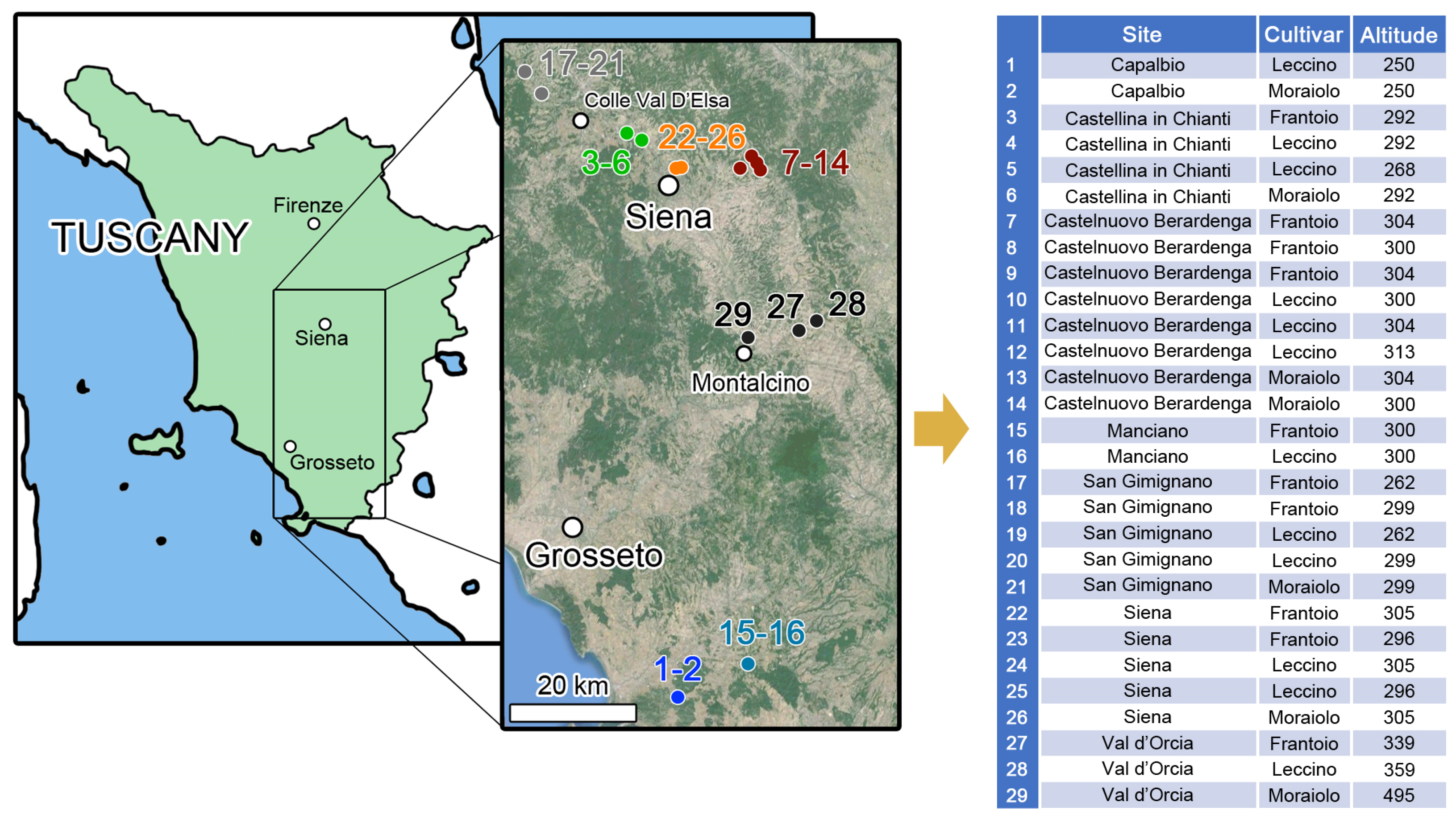 Molecules 29 03617 g004