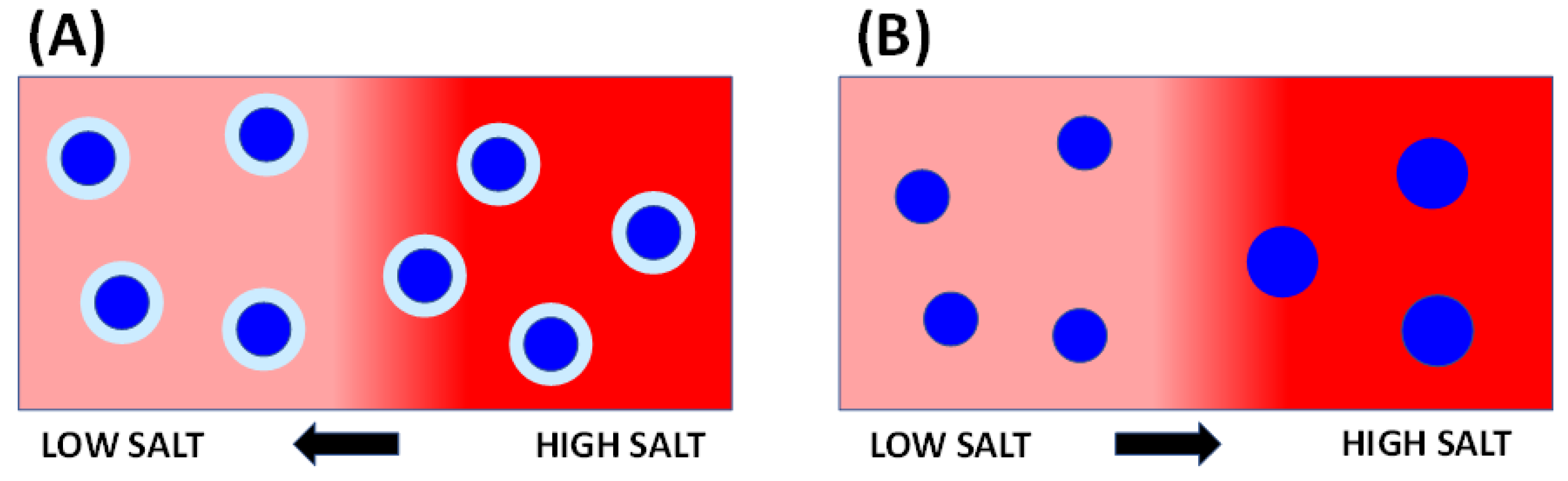 Molecules 29 03618 g001