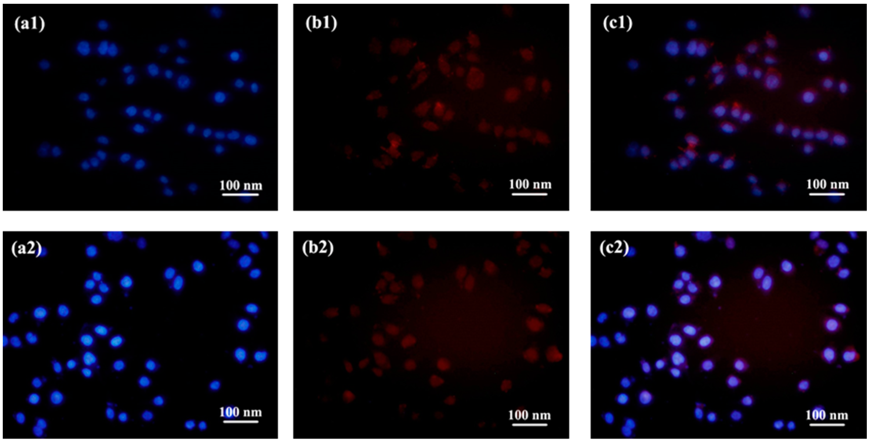 Molecules 29 03619 g007