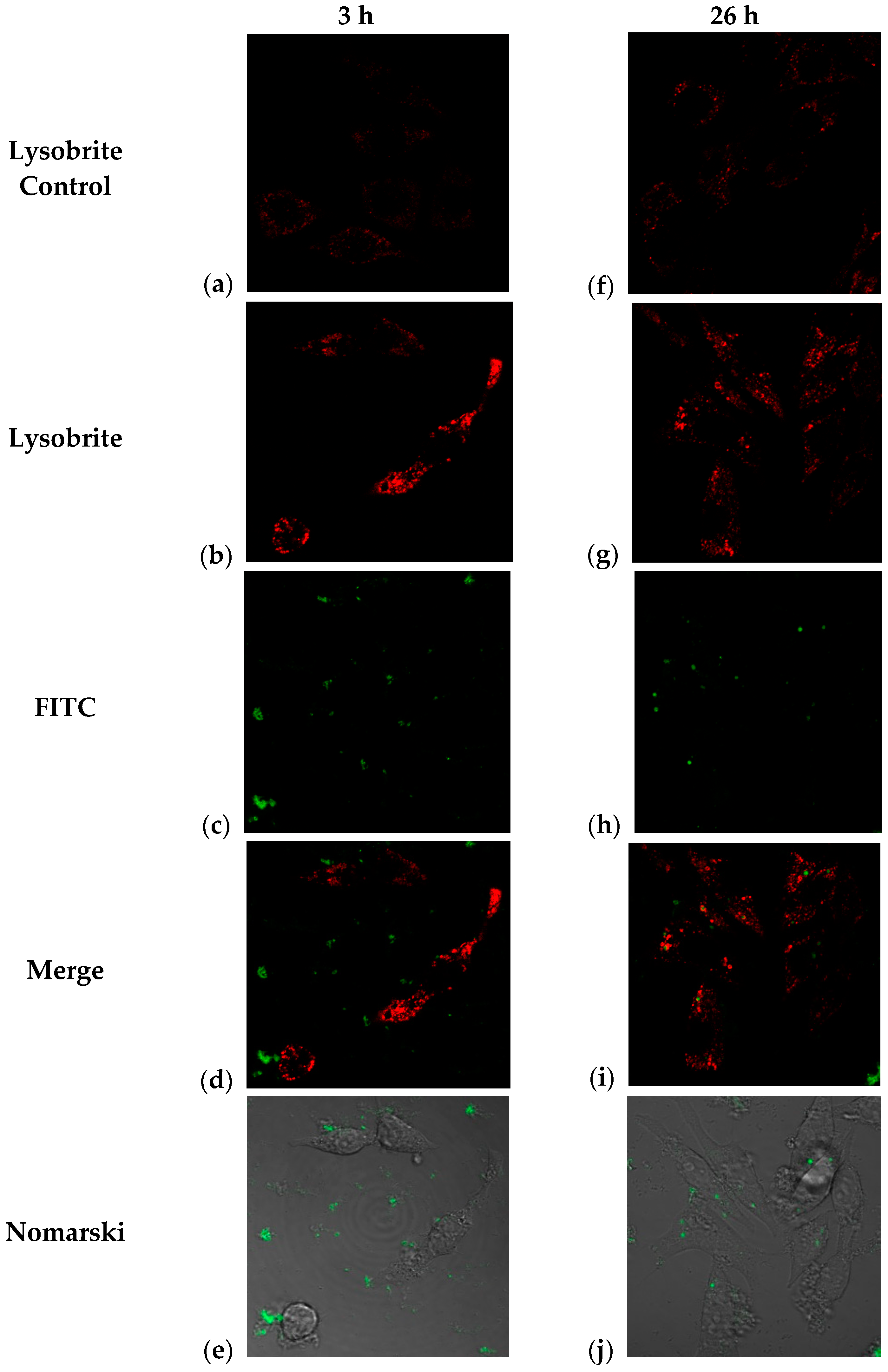 Molecules 29 03621 g007