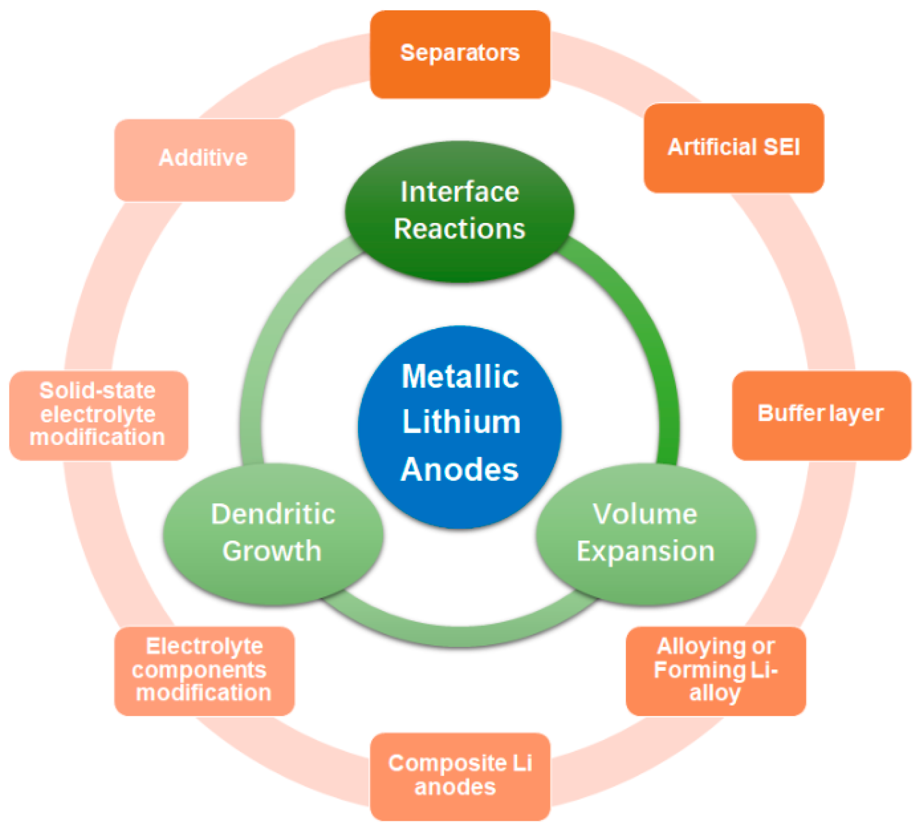 Molecules 29 03624 g001