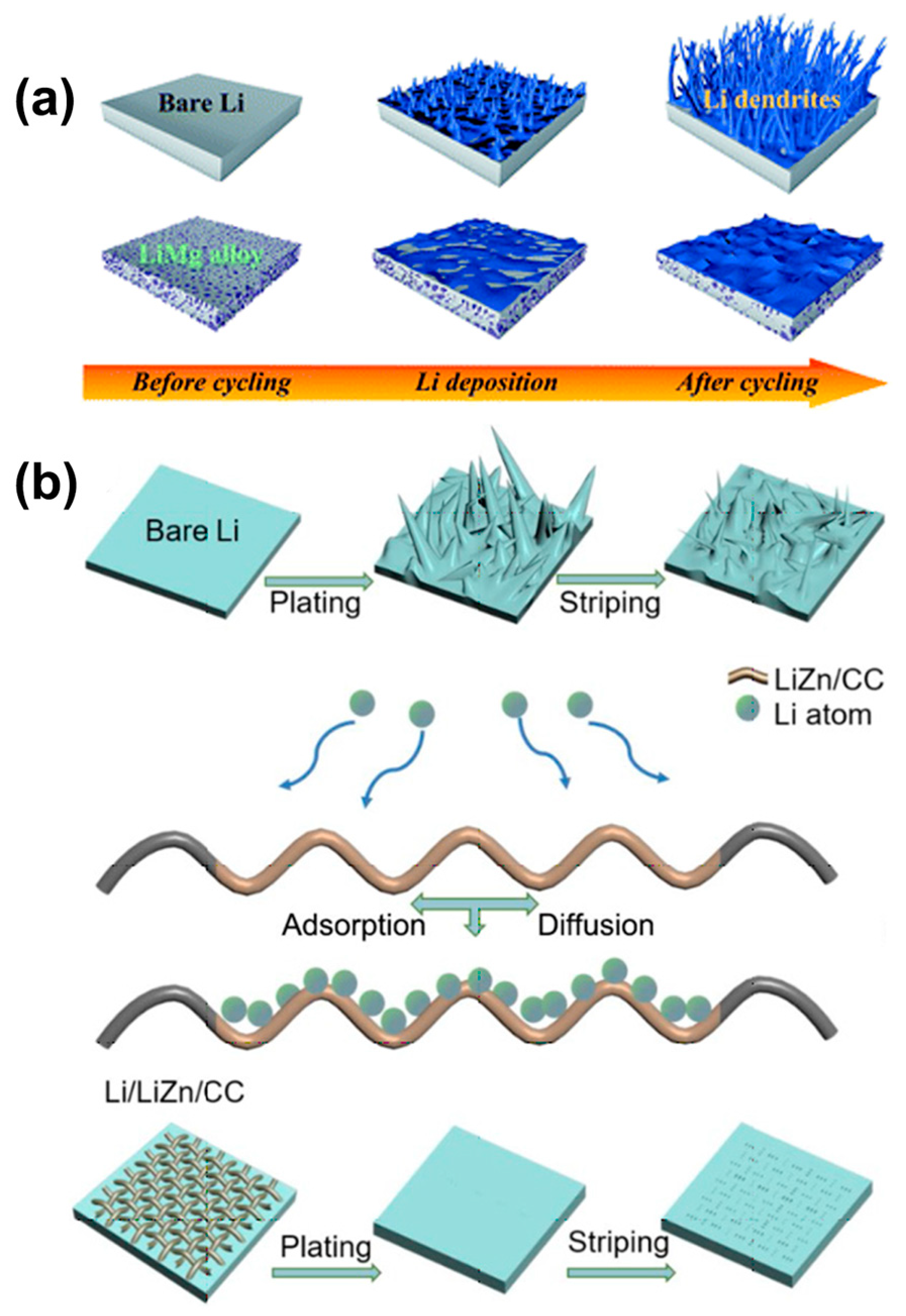 Molecules 29 03624 g002