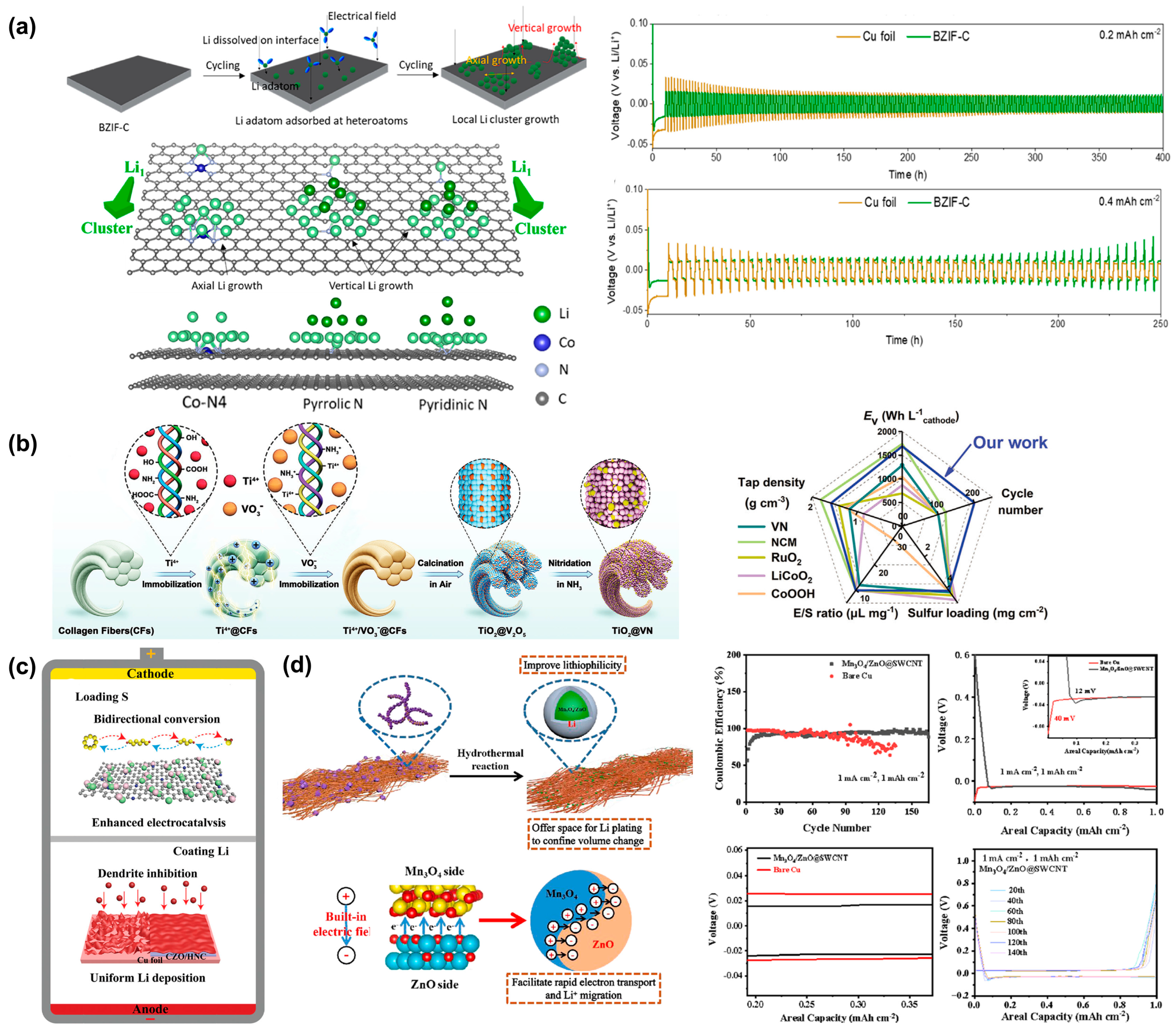 Molecules 29 03624 g003
