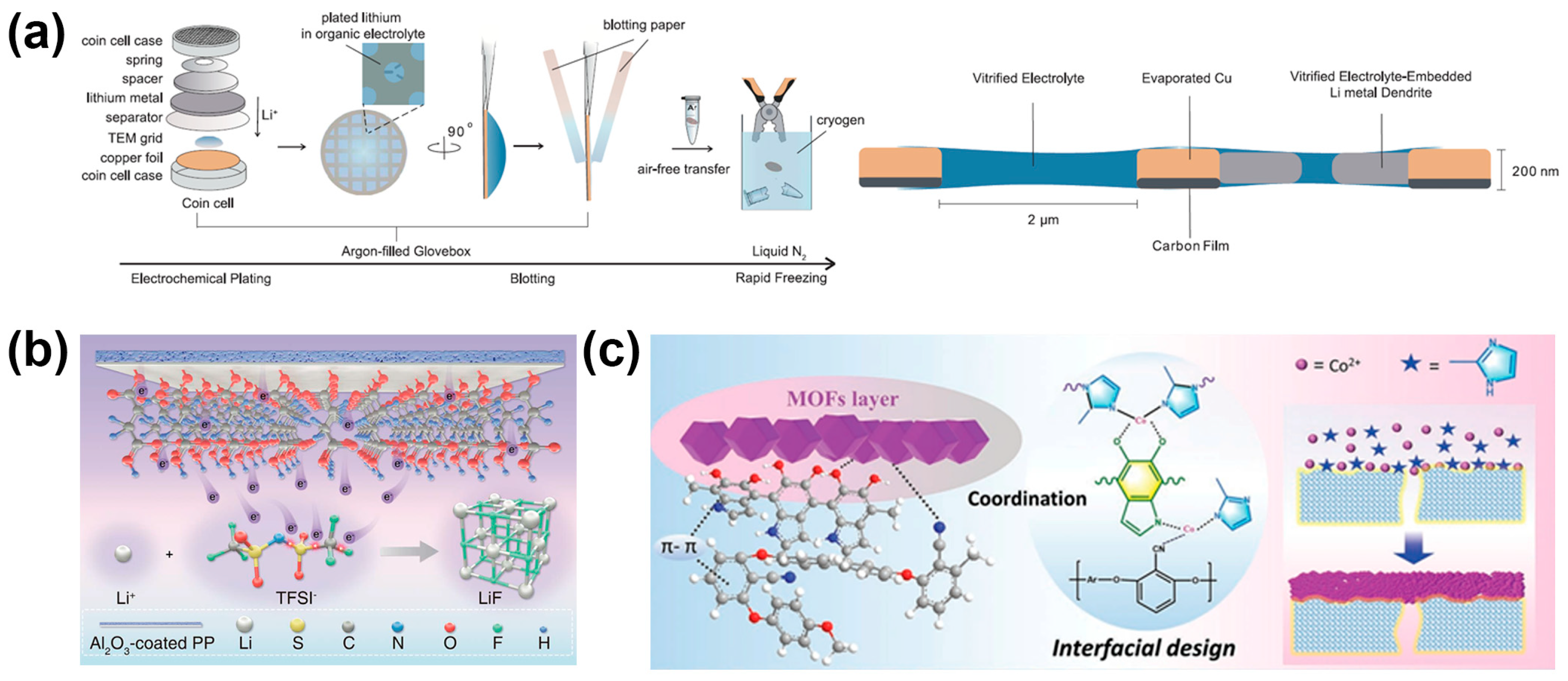 Molecules 29 03624 g006