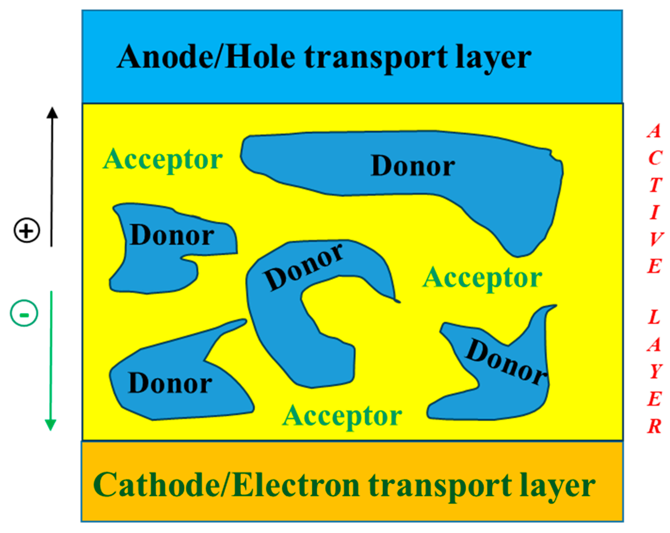 Molecules 29 03625 g001