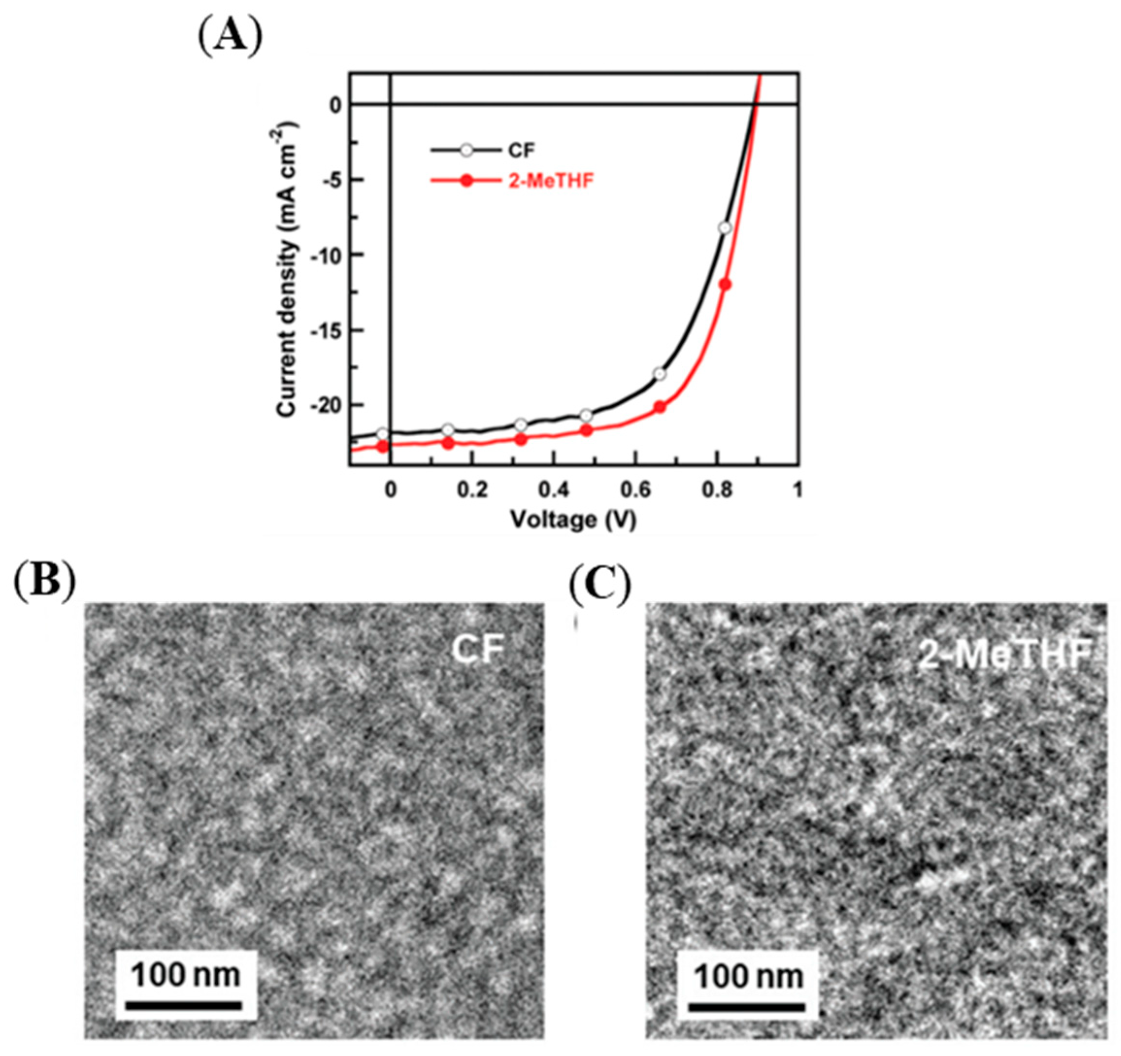 Molecules 29 03625 g050