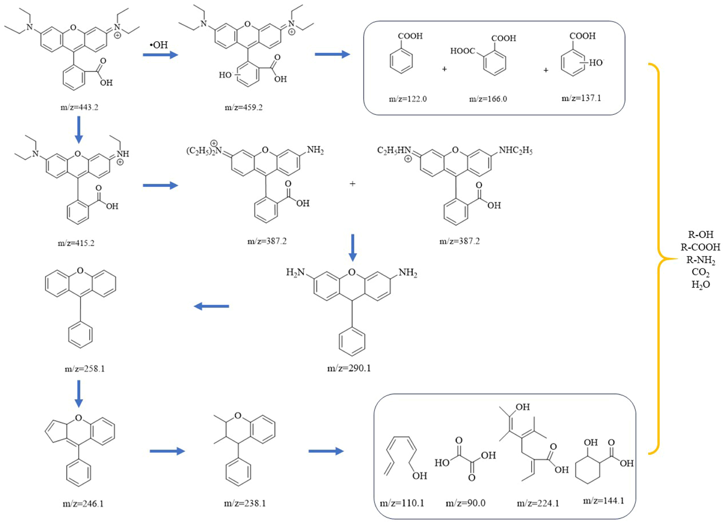 Molecules 29 03633 g008