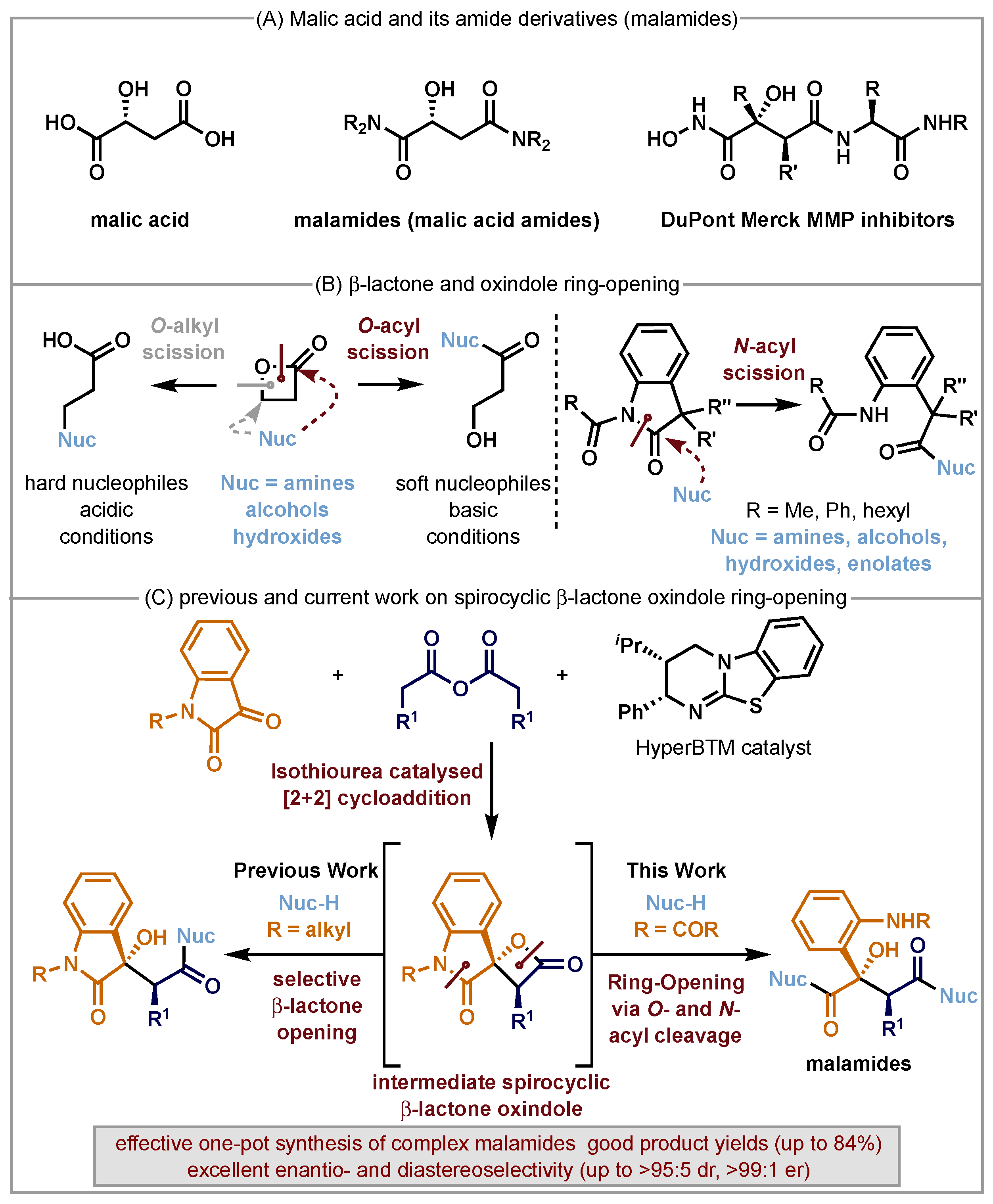 Molecules 29 03635 g001
