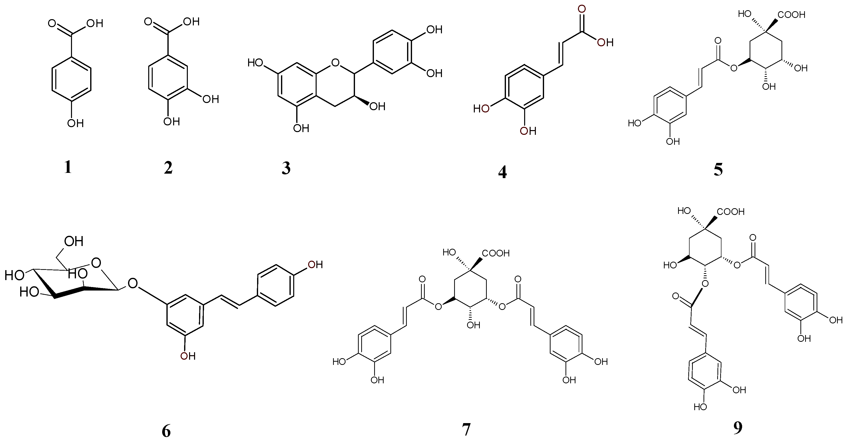 Molecules 29 03640 g002