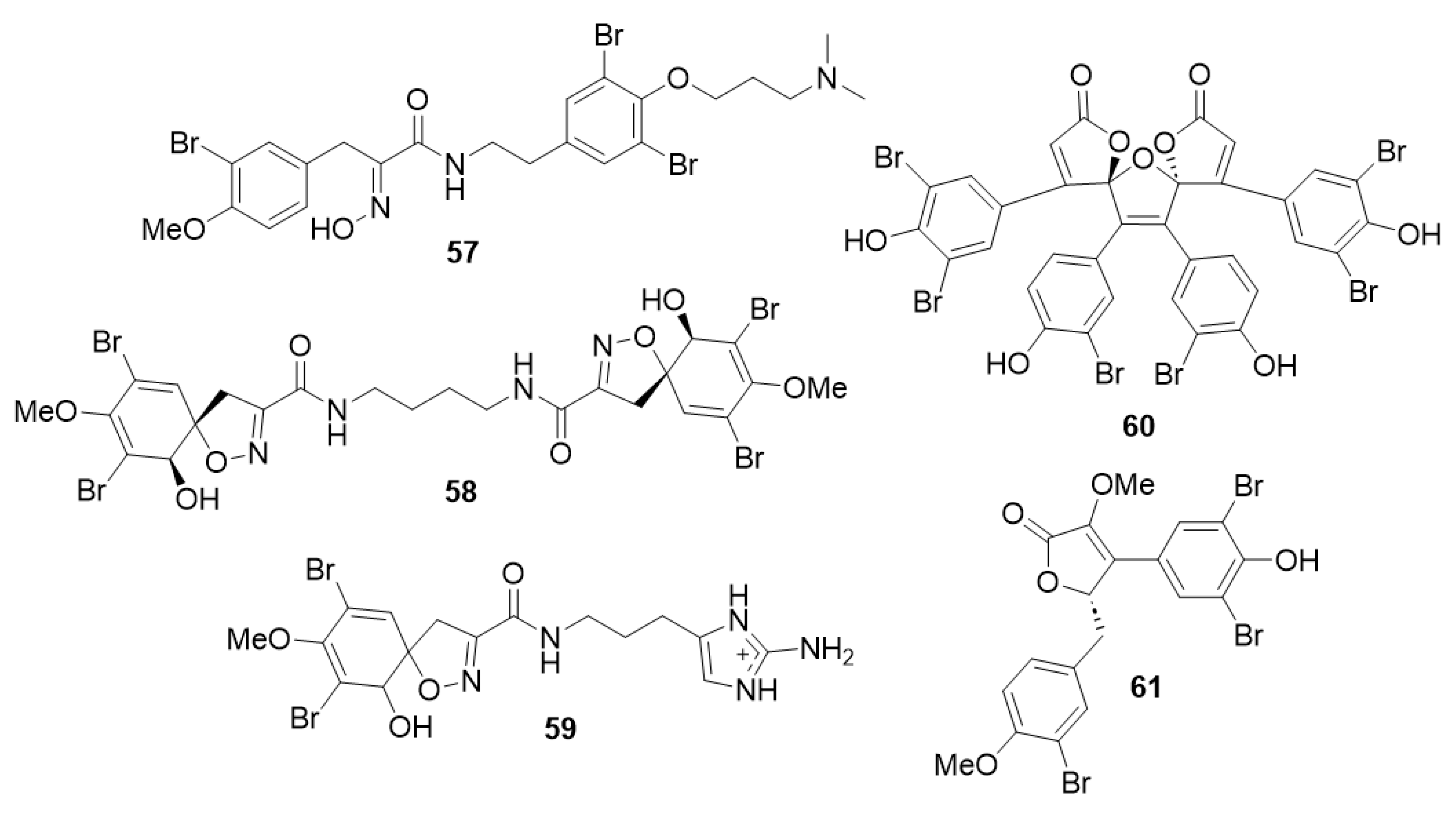 Molecules 29 03648 g005
