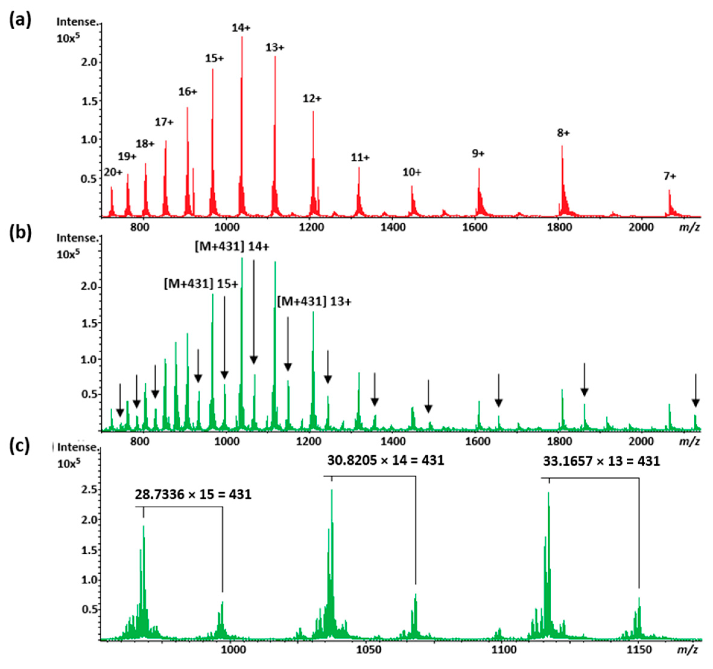 Molecules 29 03648 g006