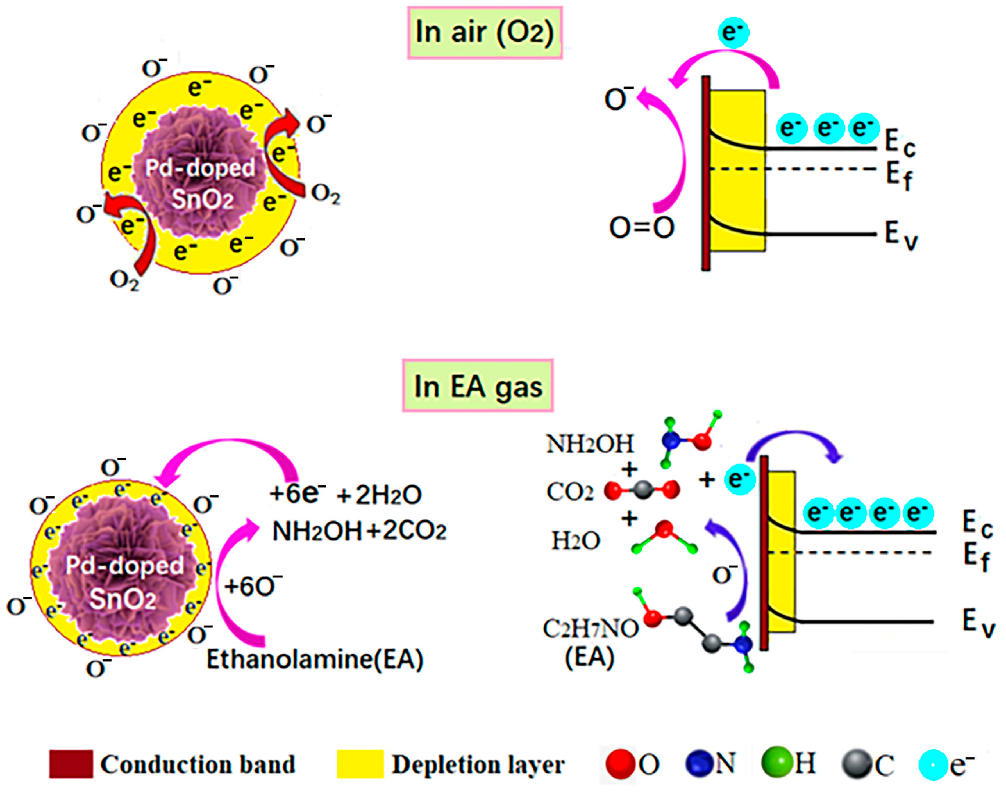 Molecules 29 03650 g005