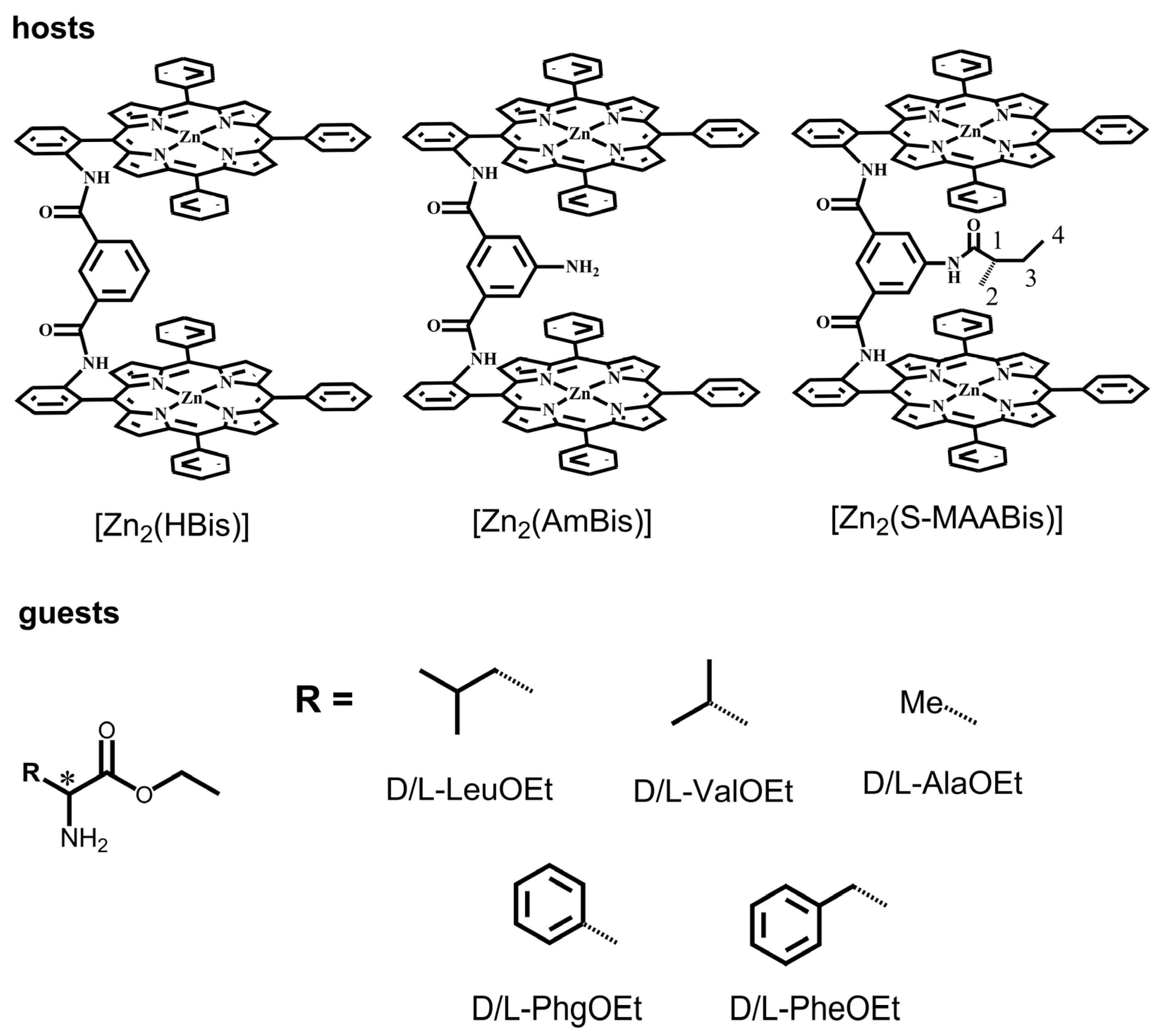 Molecules 29 03652 g001