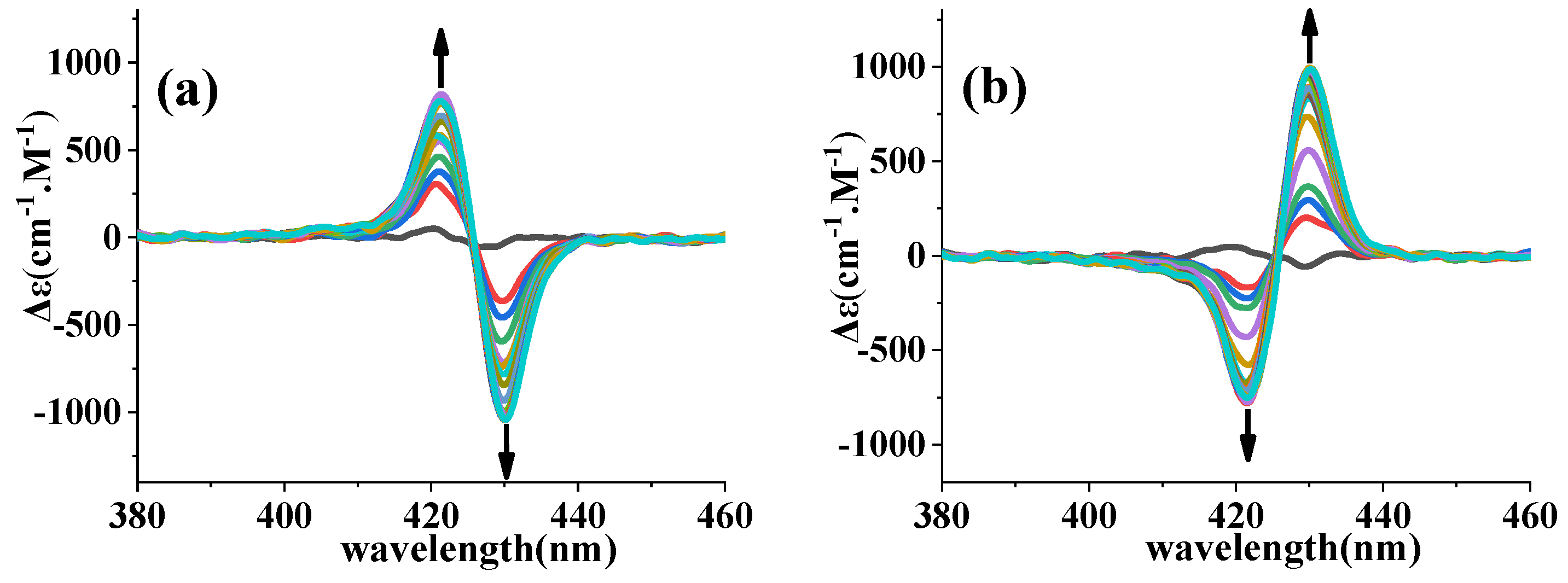 Molecules 29 03652 g004