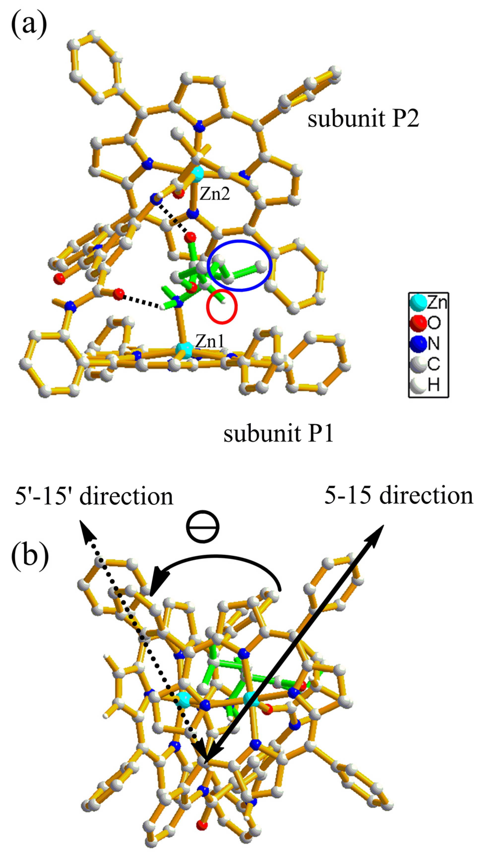 Molecules 29 03652 g007