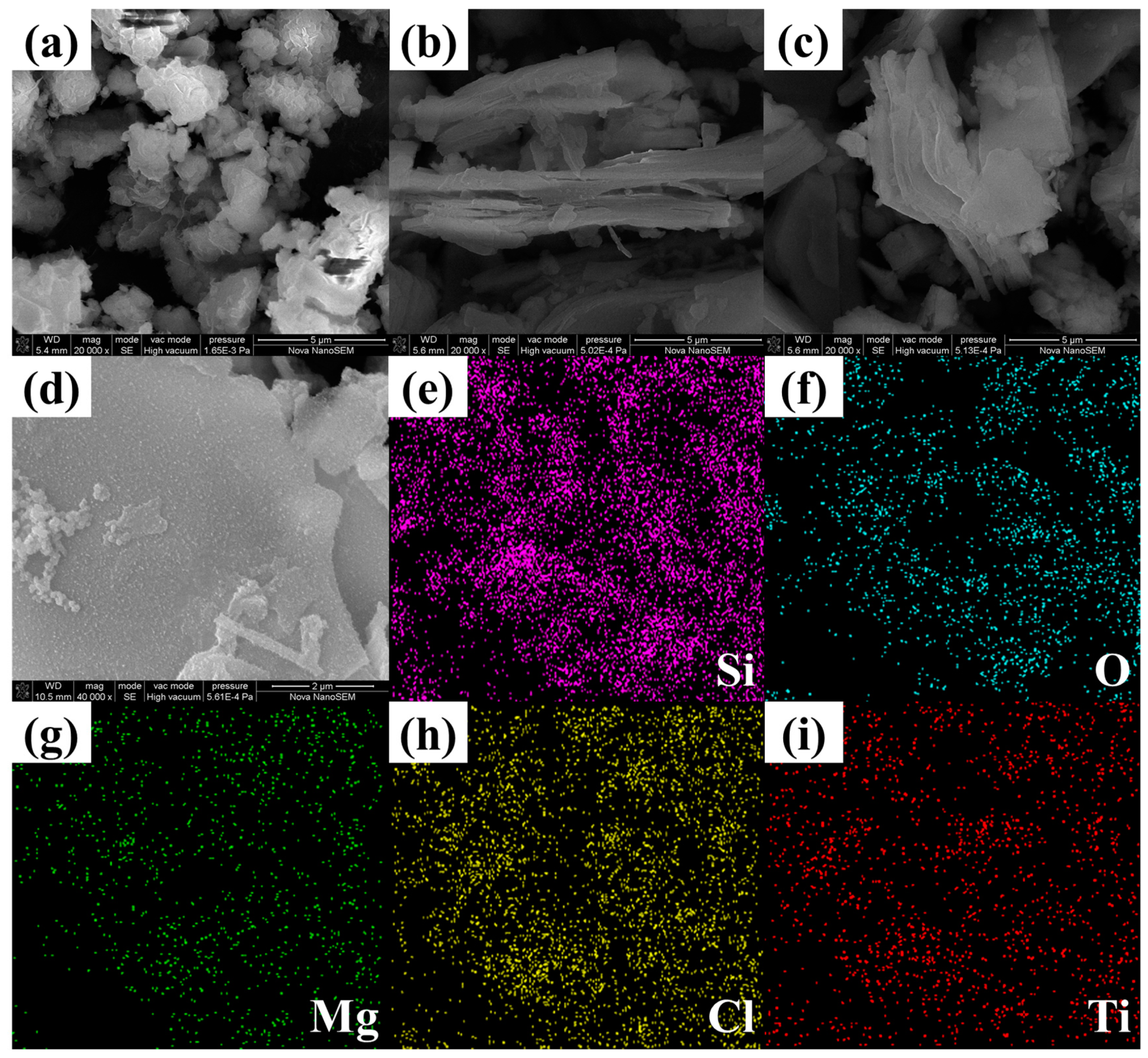 Molecules 29 03662 g002