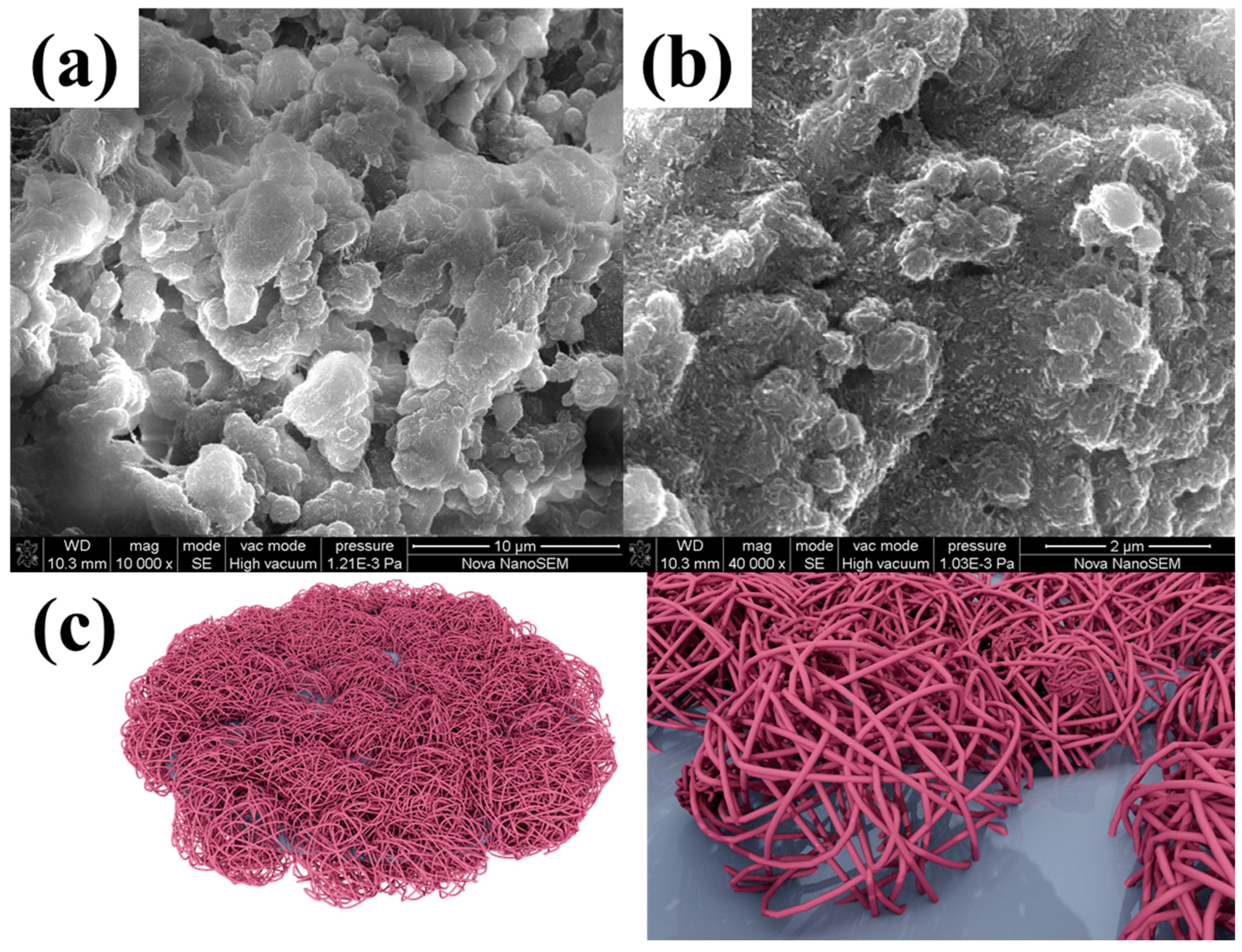 Molecules 29 03662 g005