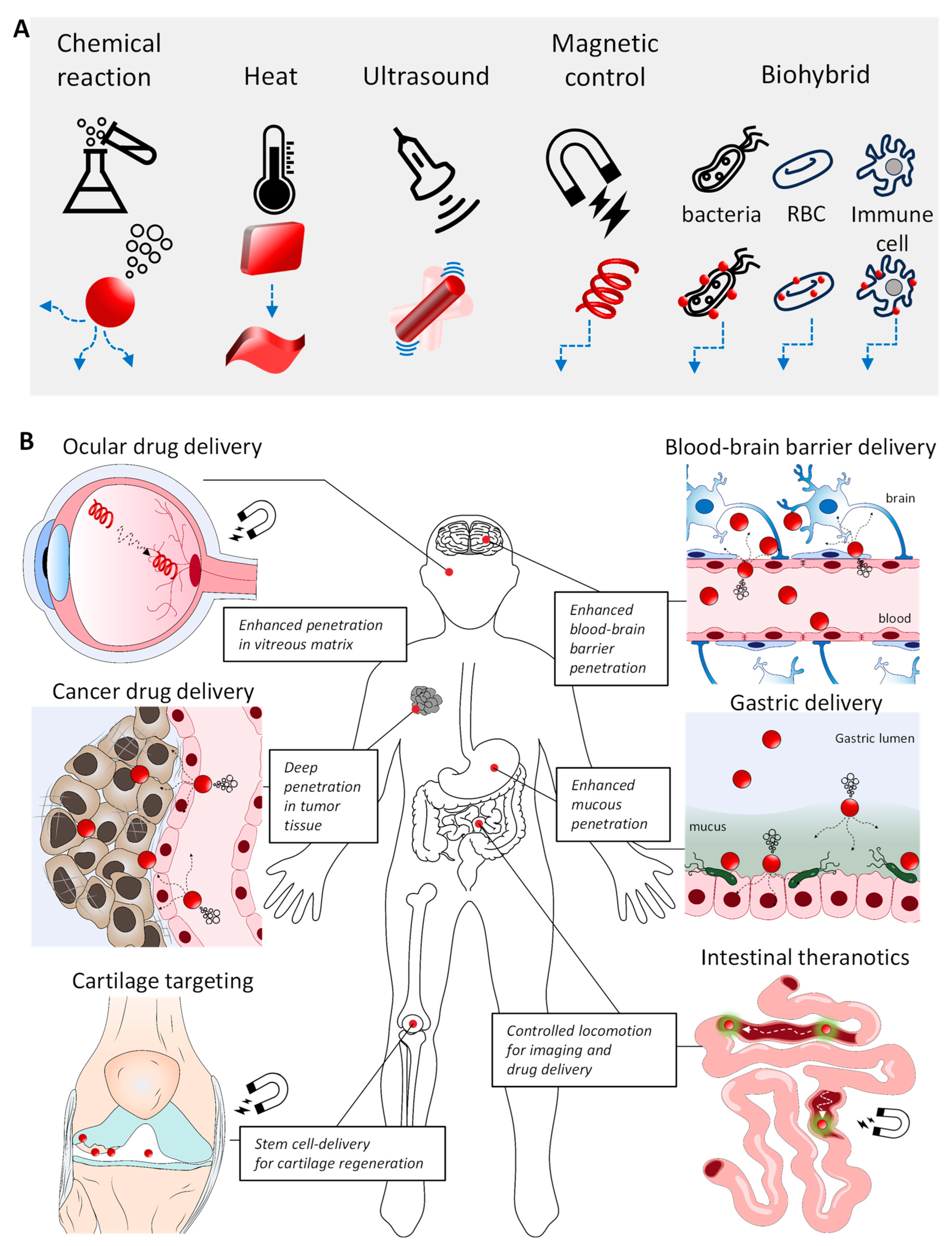Molecules 29 03663 g001
