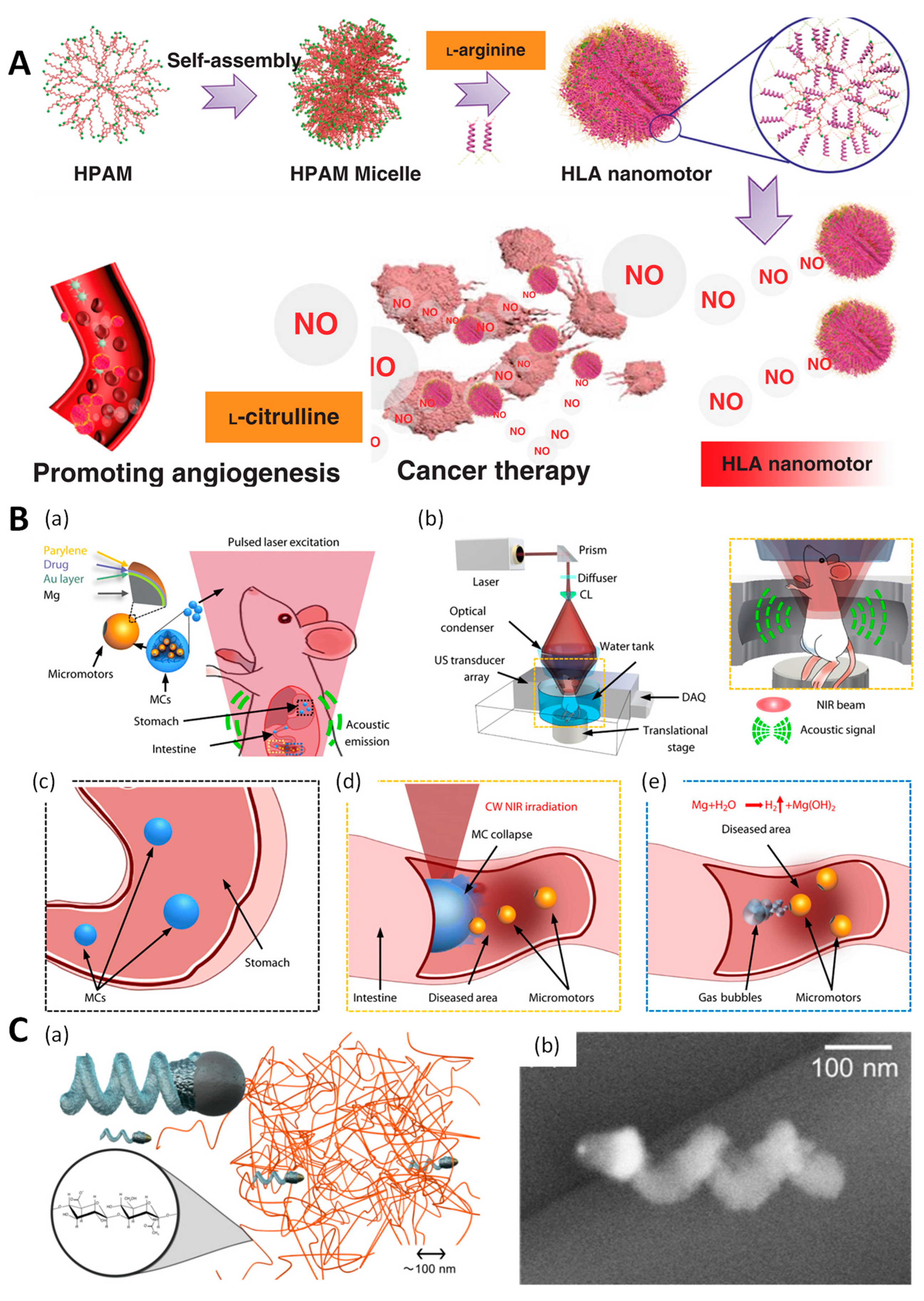 Molecules 29 03663 g004