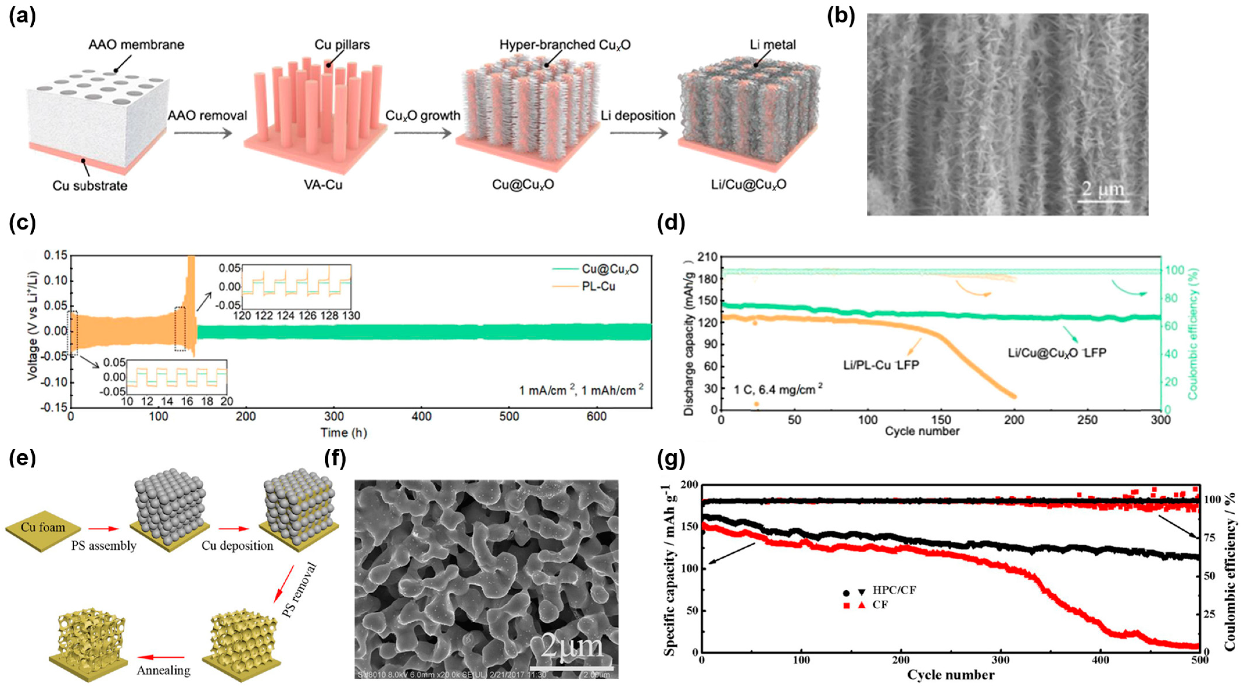 Molecules 29 03669 g001