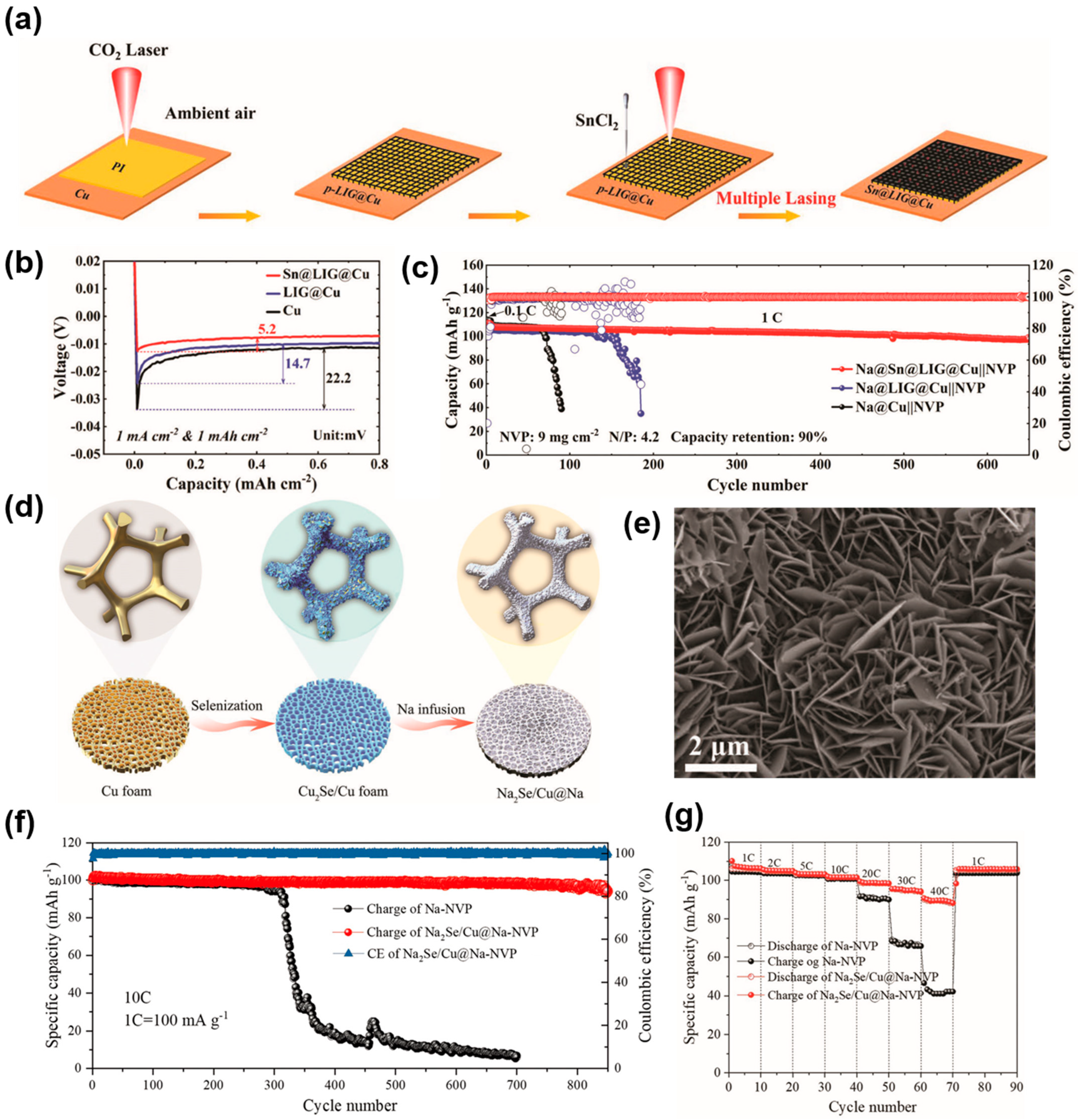 Molecules 29 03669 g007