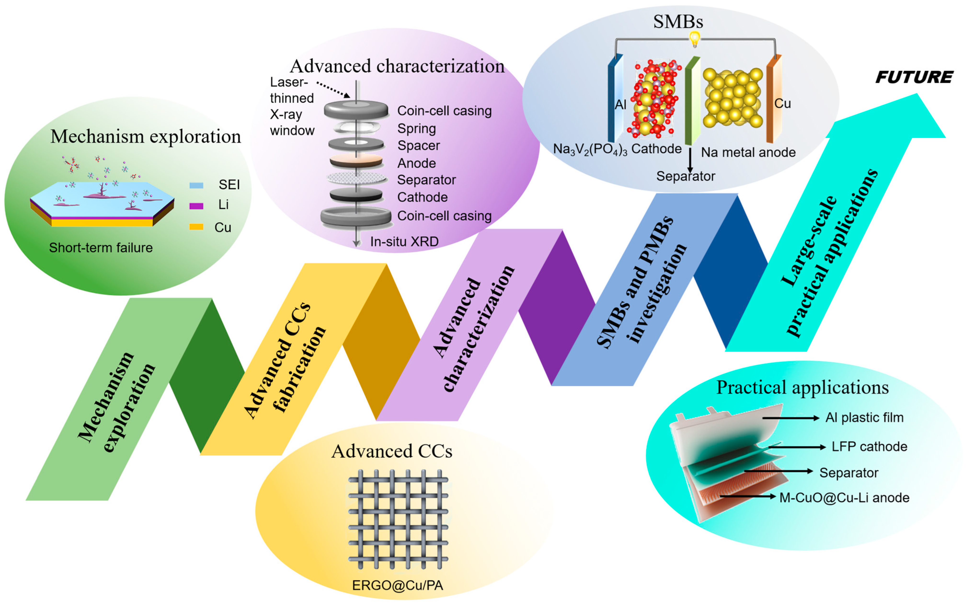 Molecules 29 03669 g009