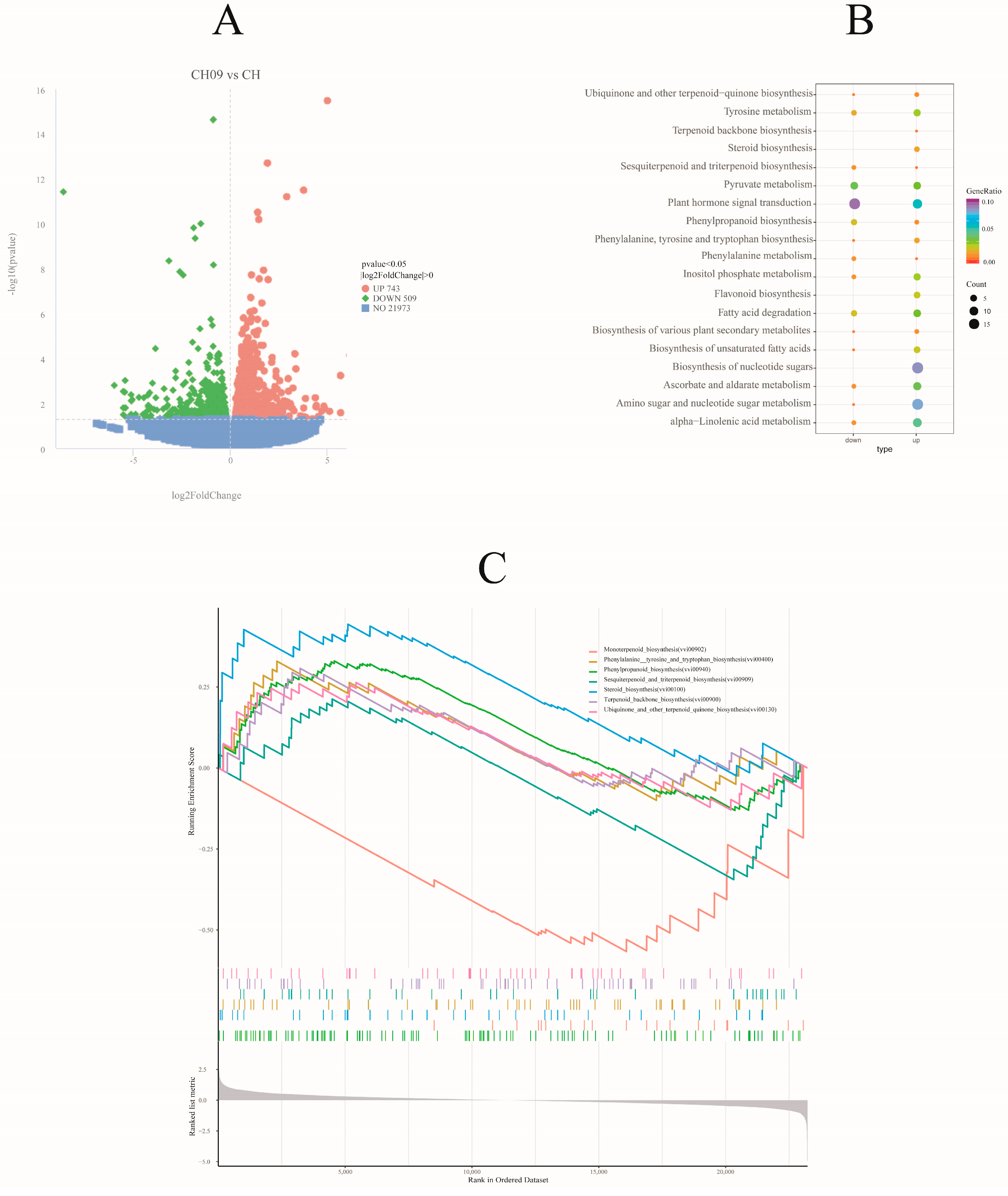 Molecules 29 03671 g004