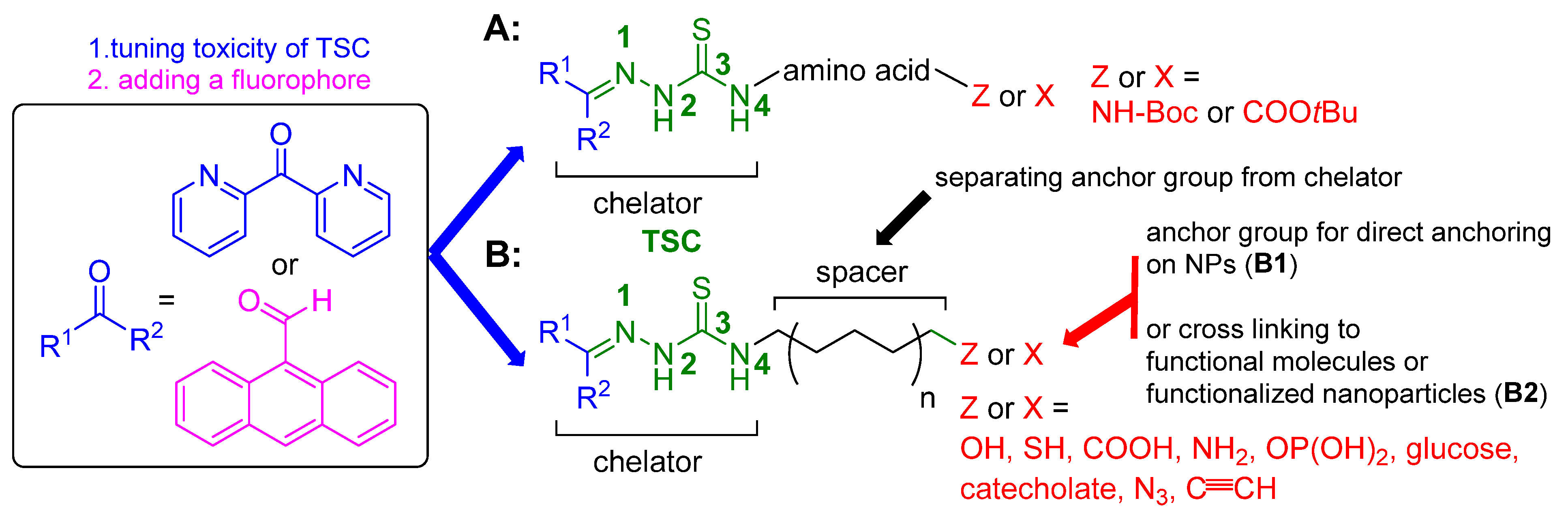 Molecules 29 03680 sch003 Molecules 29 03680 sch003