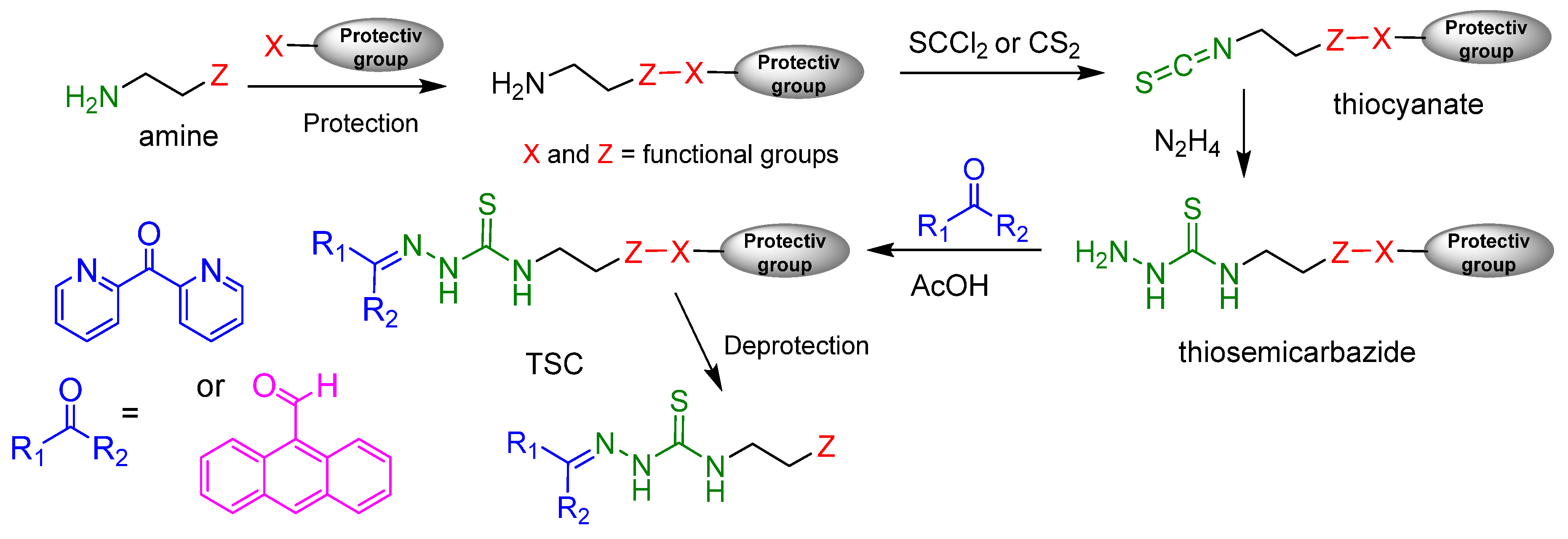 Molecules 29 03680 sch005 Molecules 29 03680 sch005