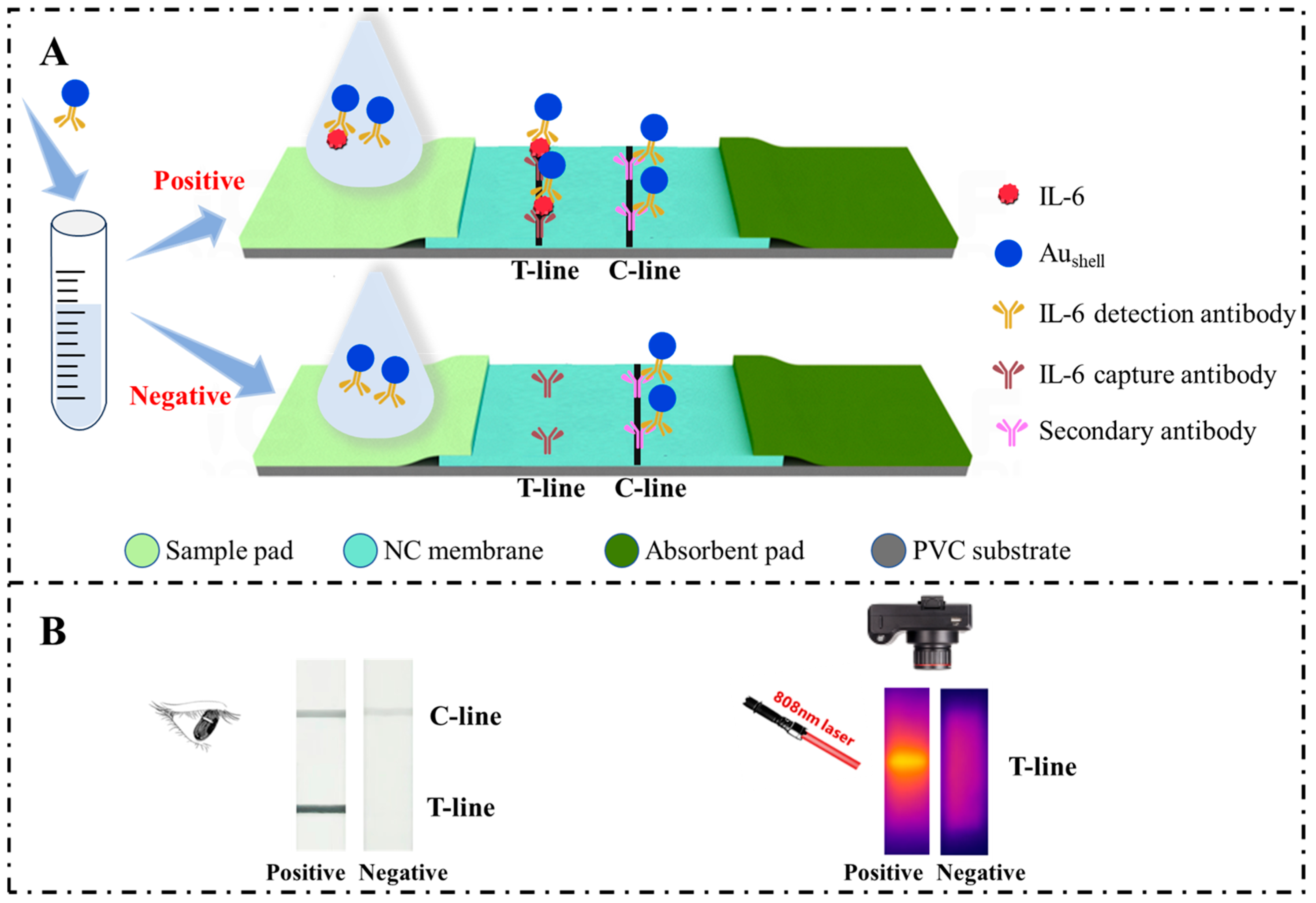 Molecules 29 03683 sch001