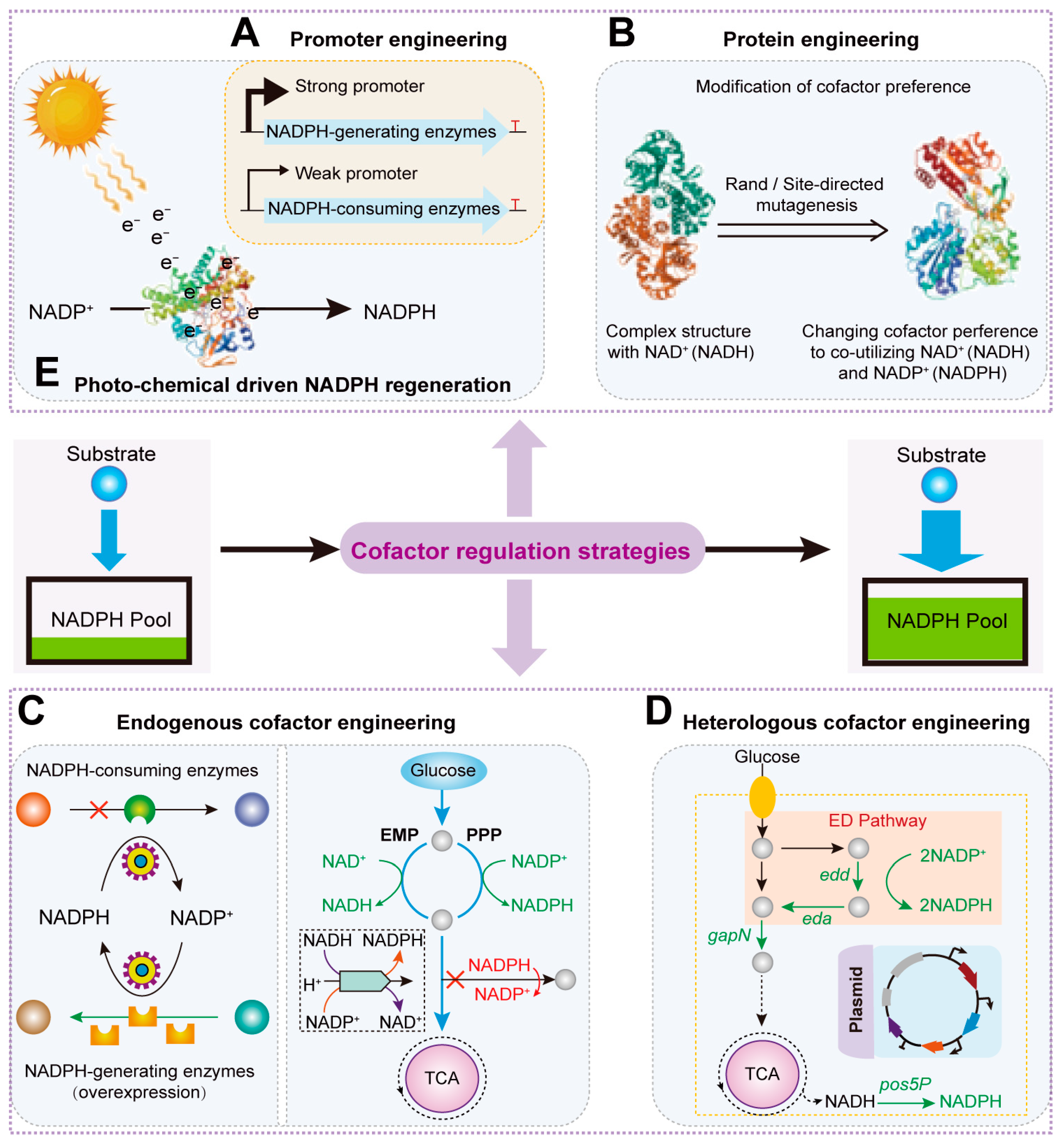 Molecules 29 03687 g001
