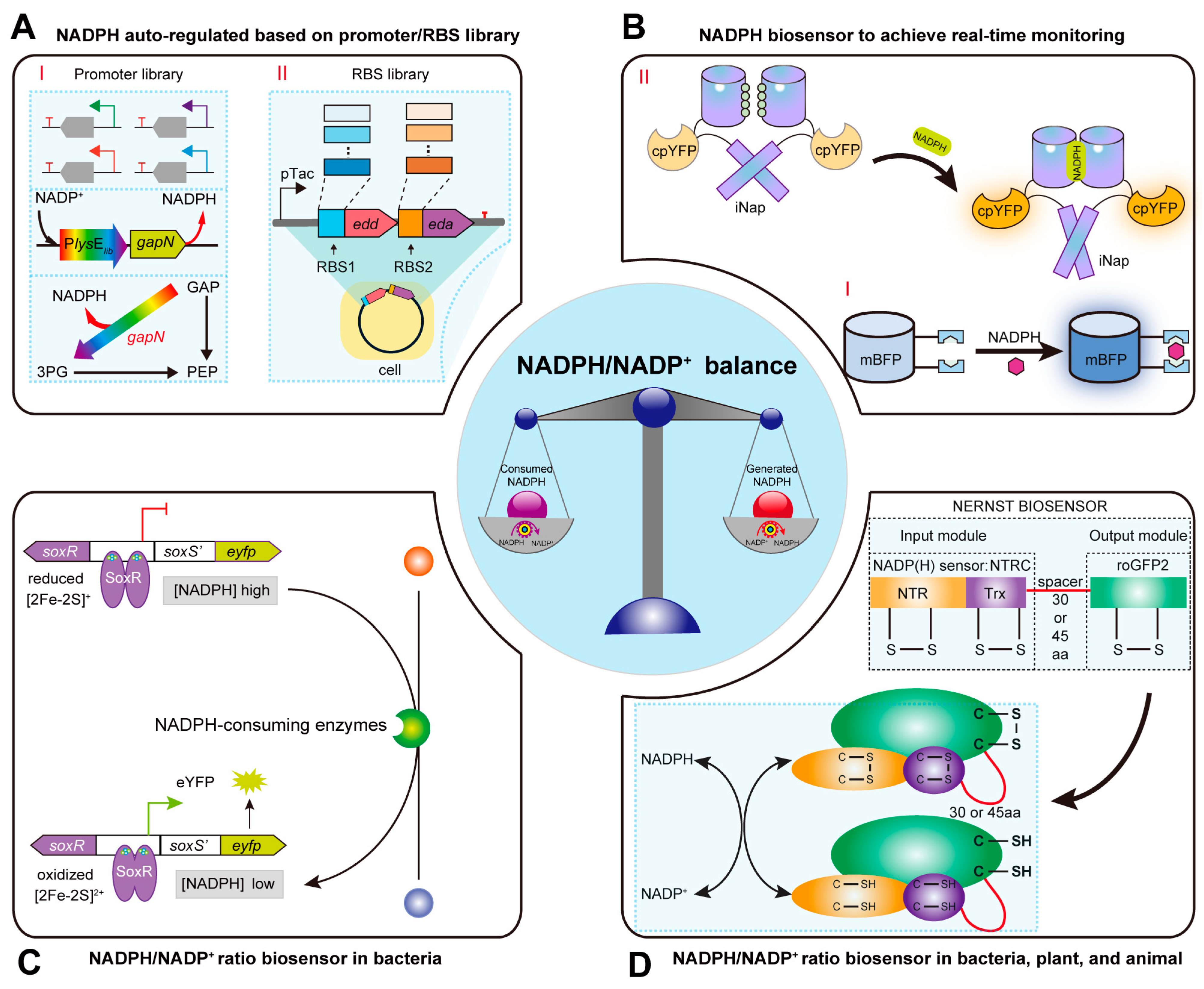 Molecules 29 03687 g002