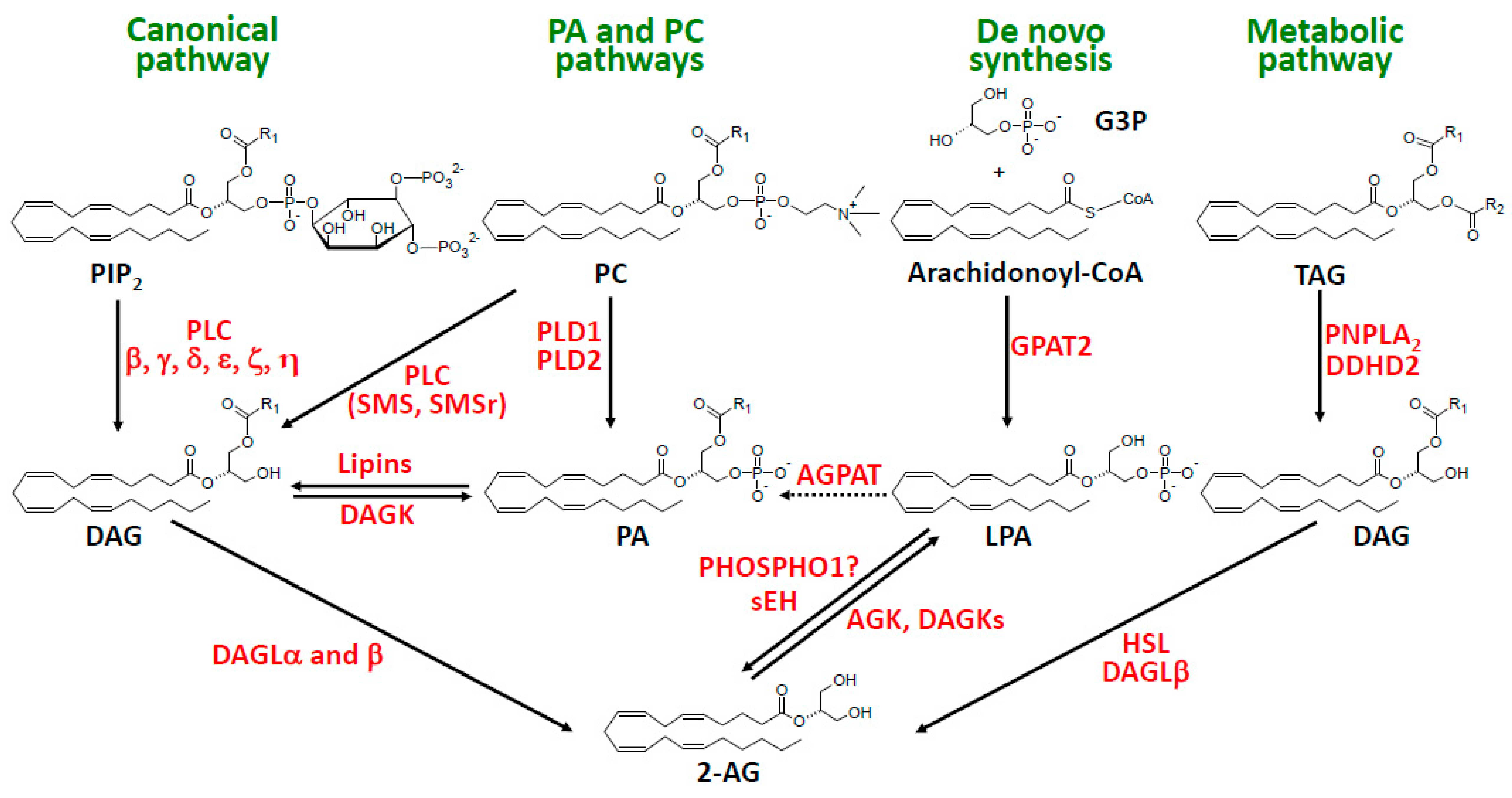 Molecules 29 03694 g002 Molecules 29 03694 g002