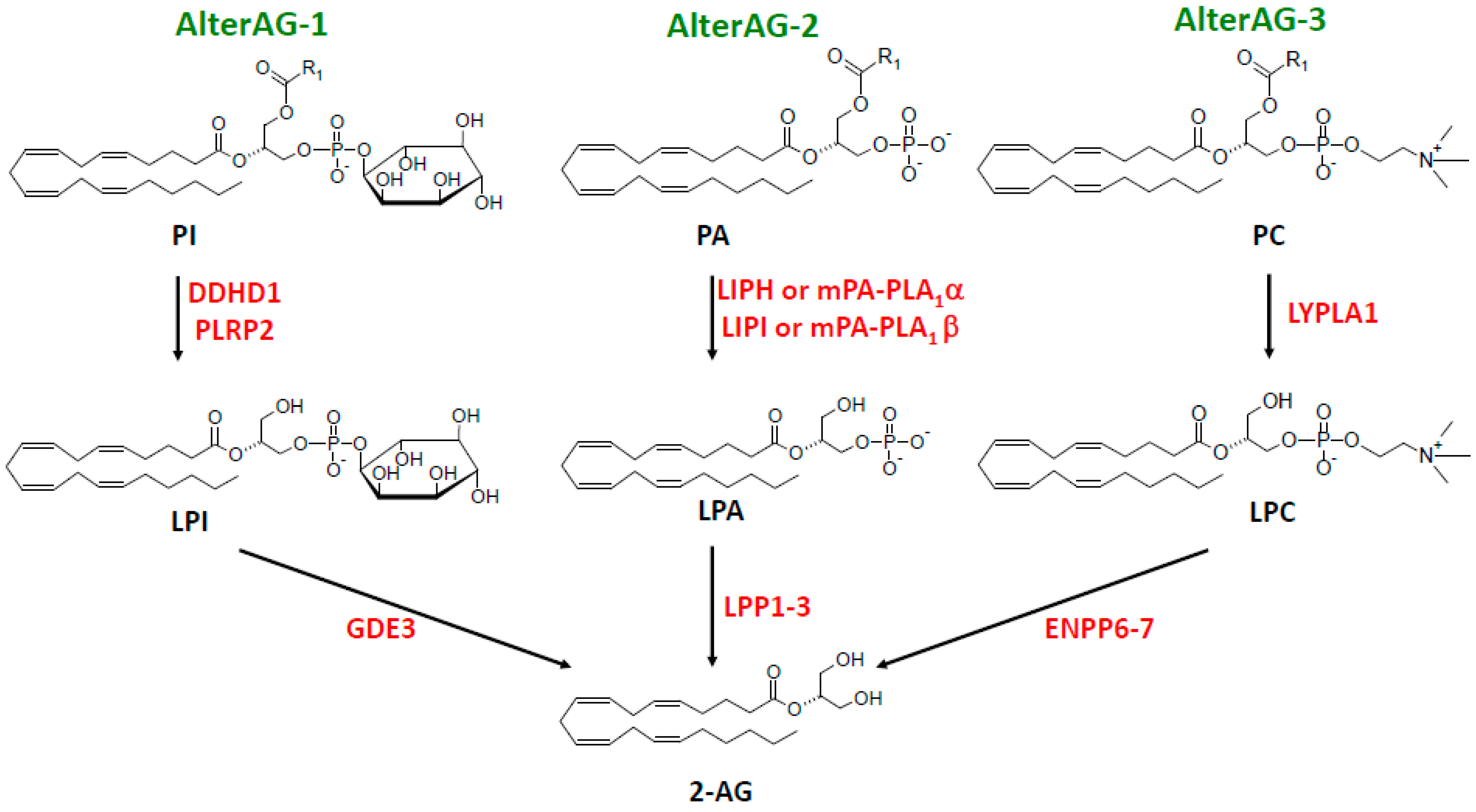 Molecules 29 03694 g003 Molecules 29 03694 g003