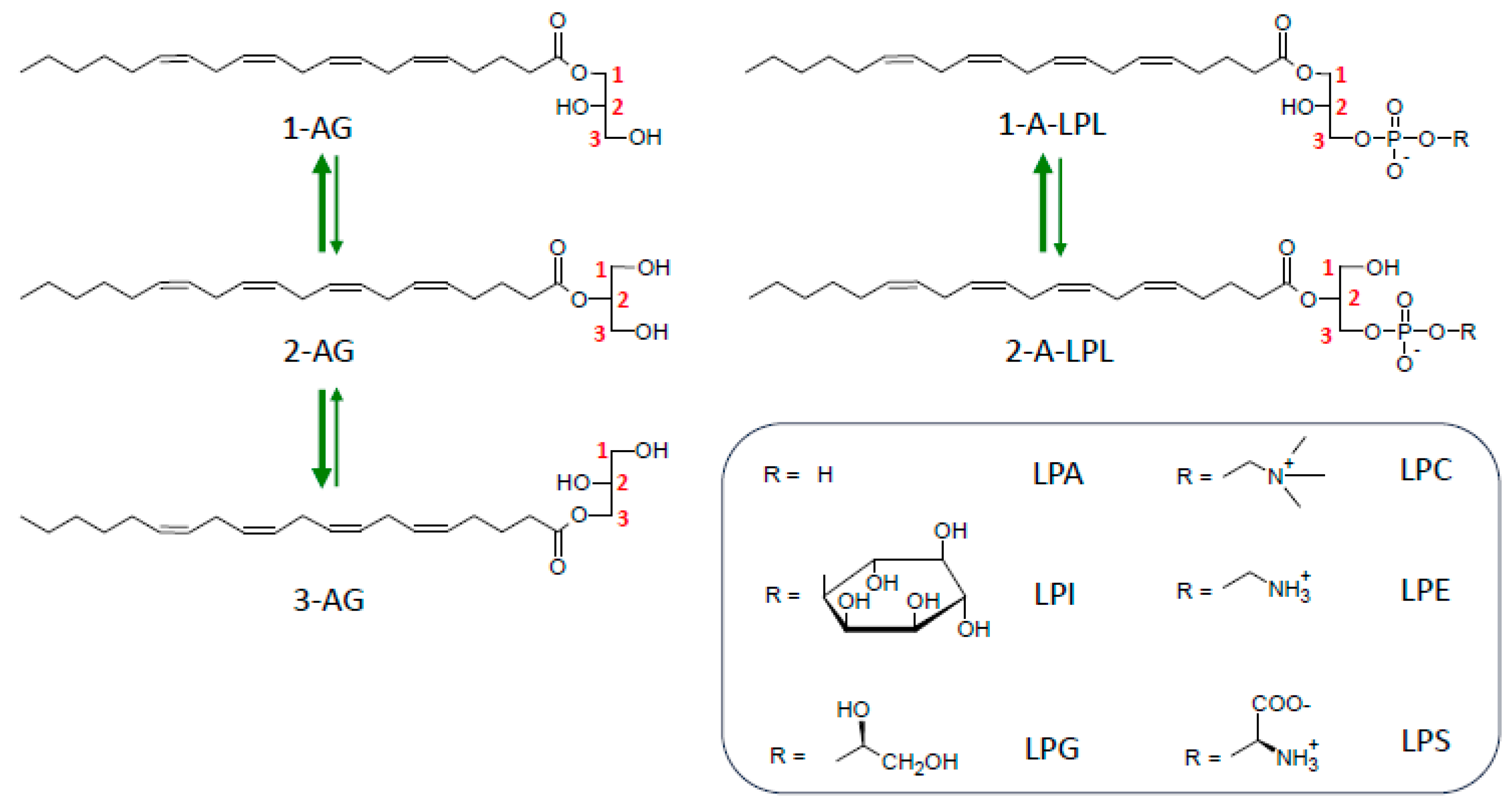 Molecules 29 03694 g005 Molecules 29 03694 g005