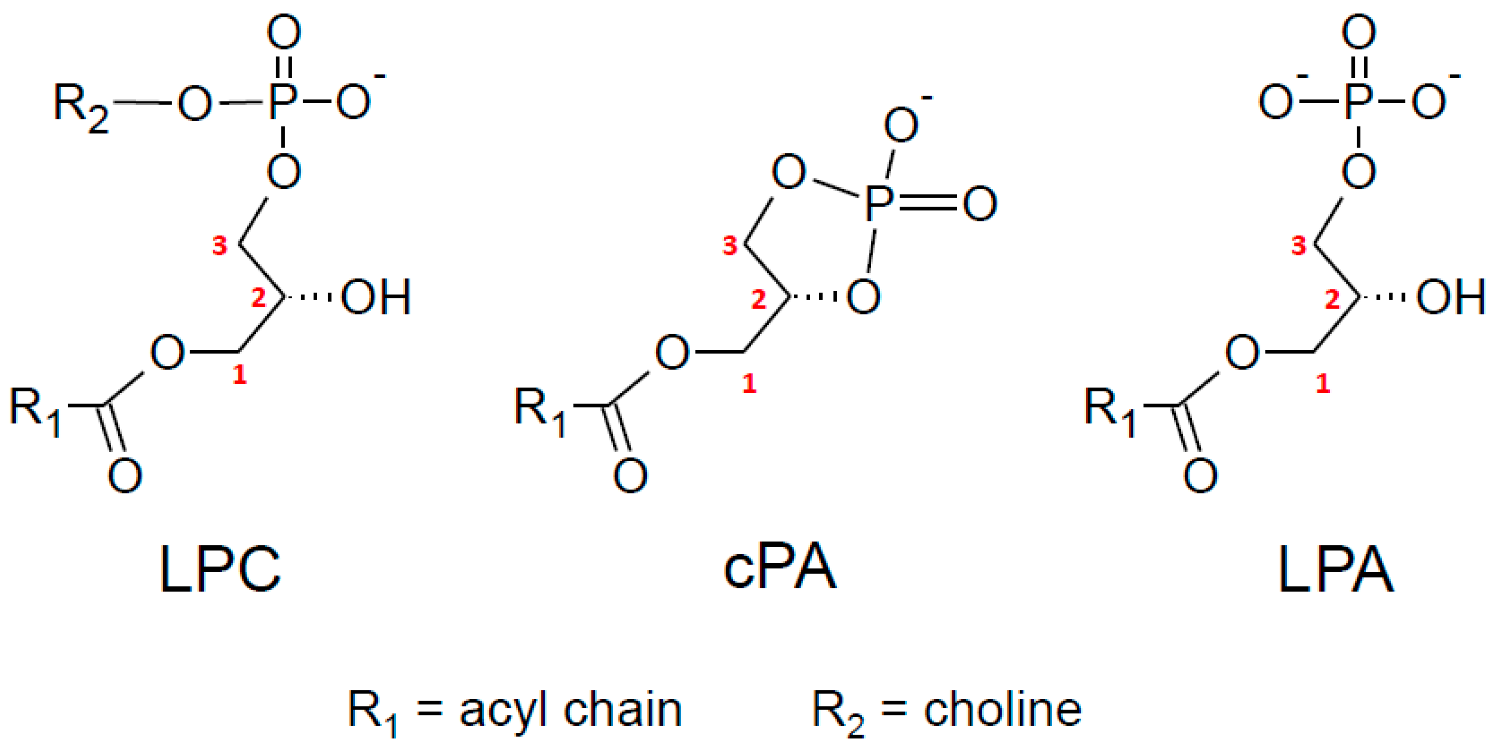 Molecules 29 03694 g006 Molecules 29 03694 g006