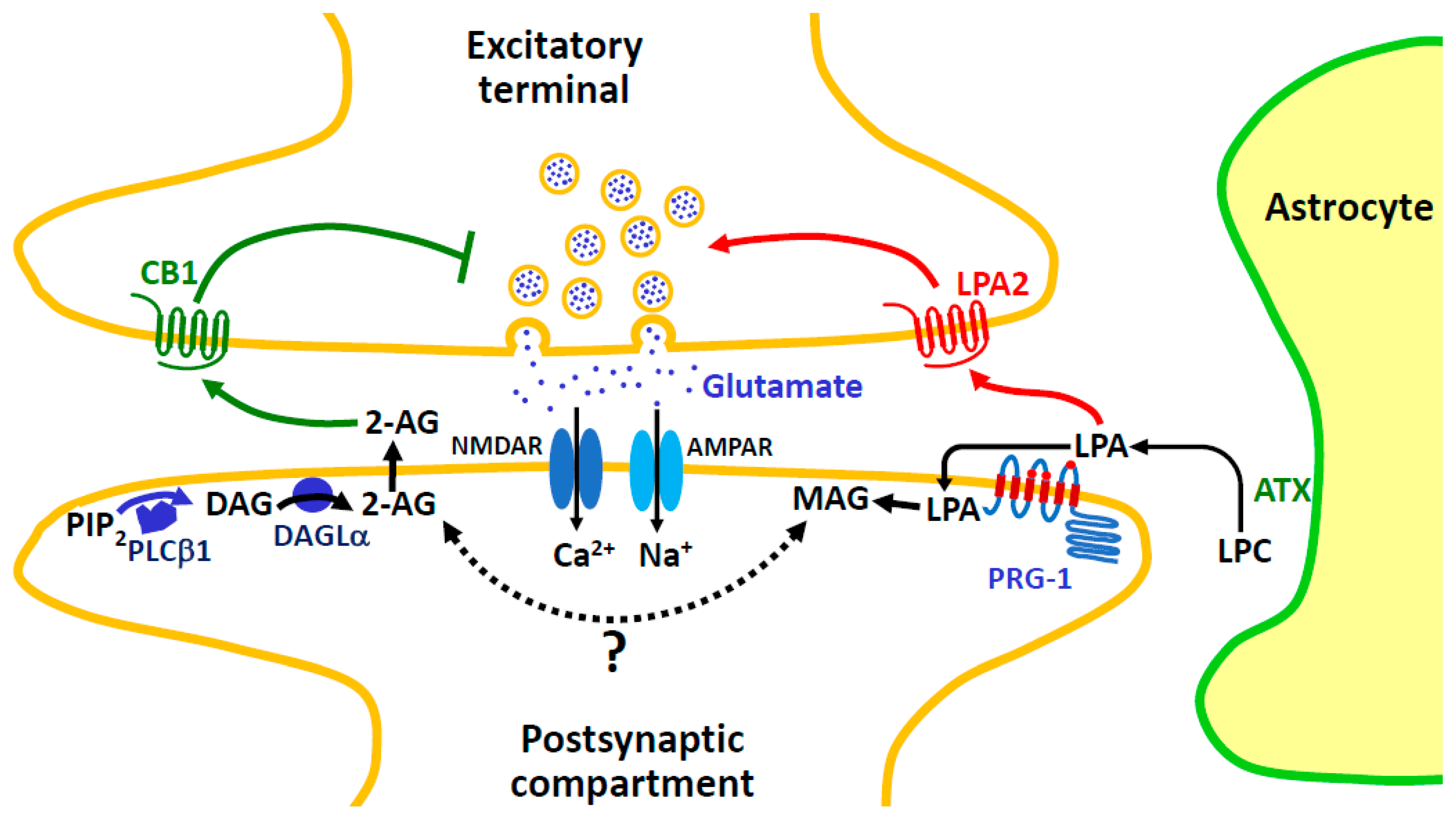 Molecules 29 03694 g009 Molecules 29 03694 g009