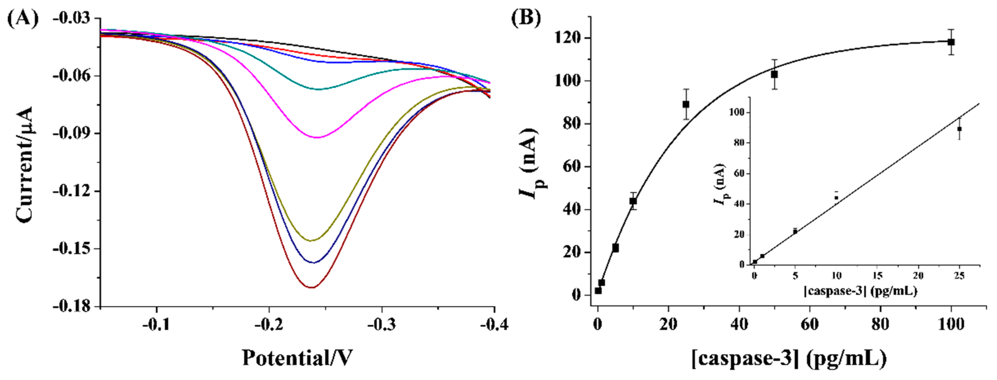 Molecules 29 03700 g005