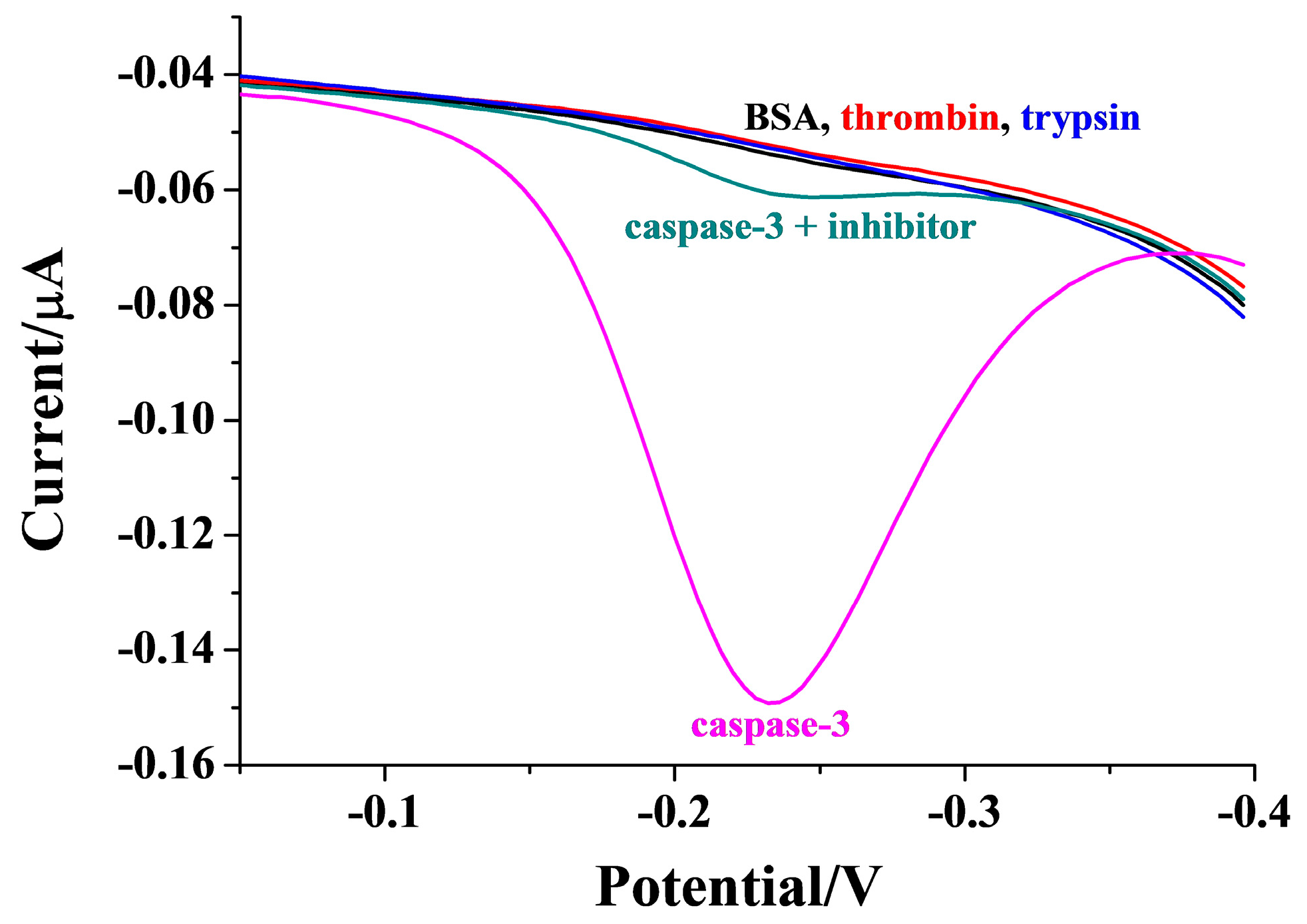 Molecules 29 03700 g006
