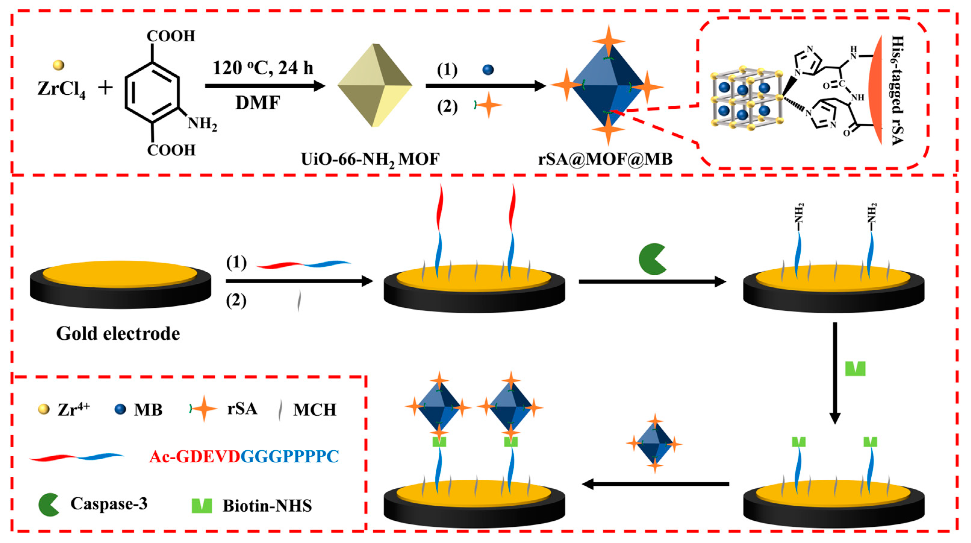 Molecules 29 03700 sch001