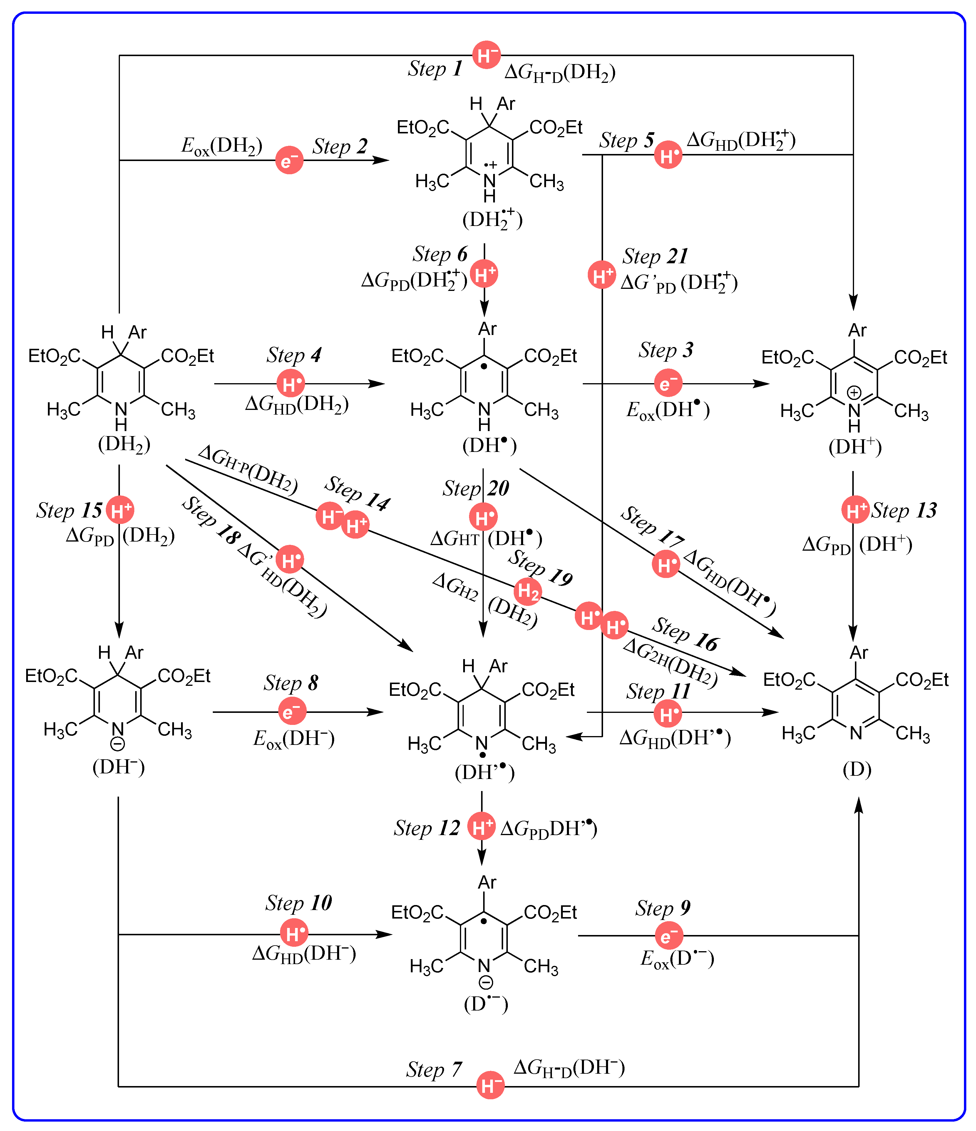 Molecules 29 03706 g003