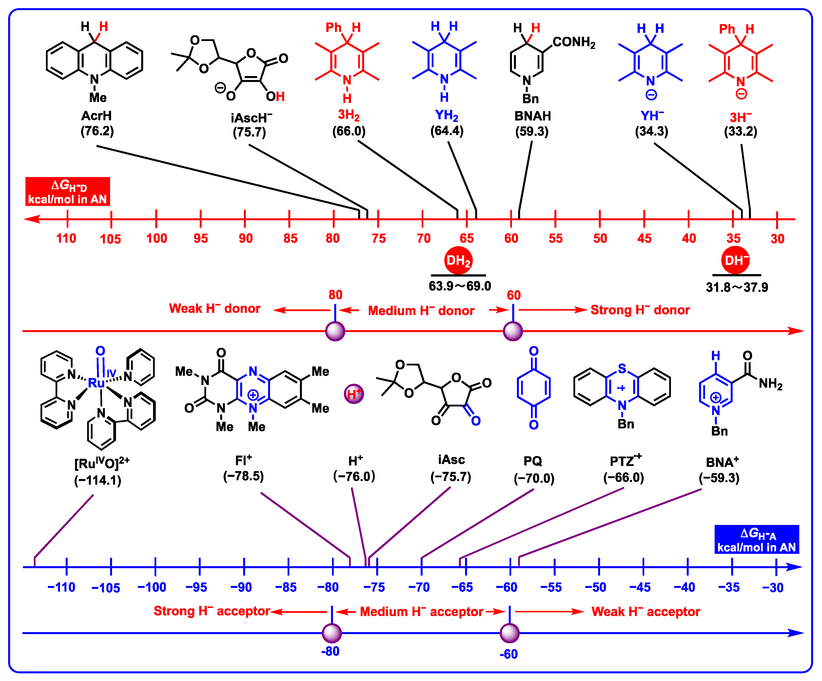 Molecules 29 03706 g006