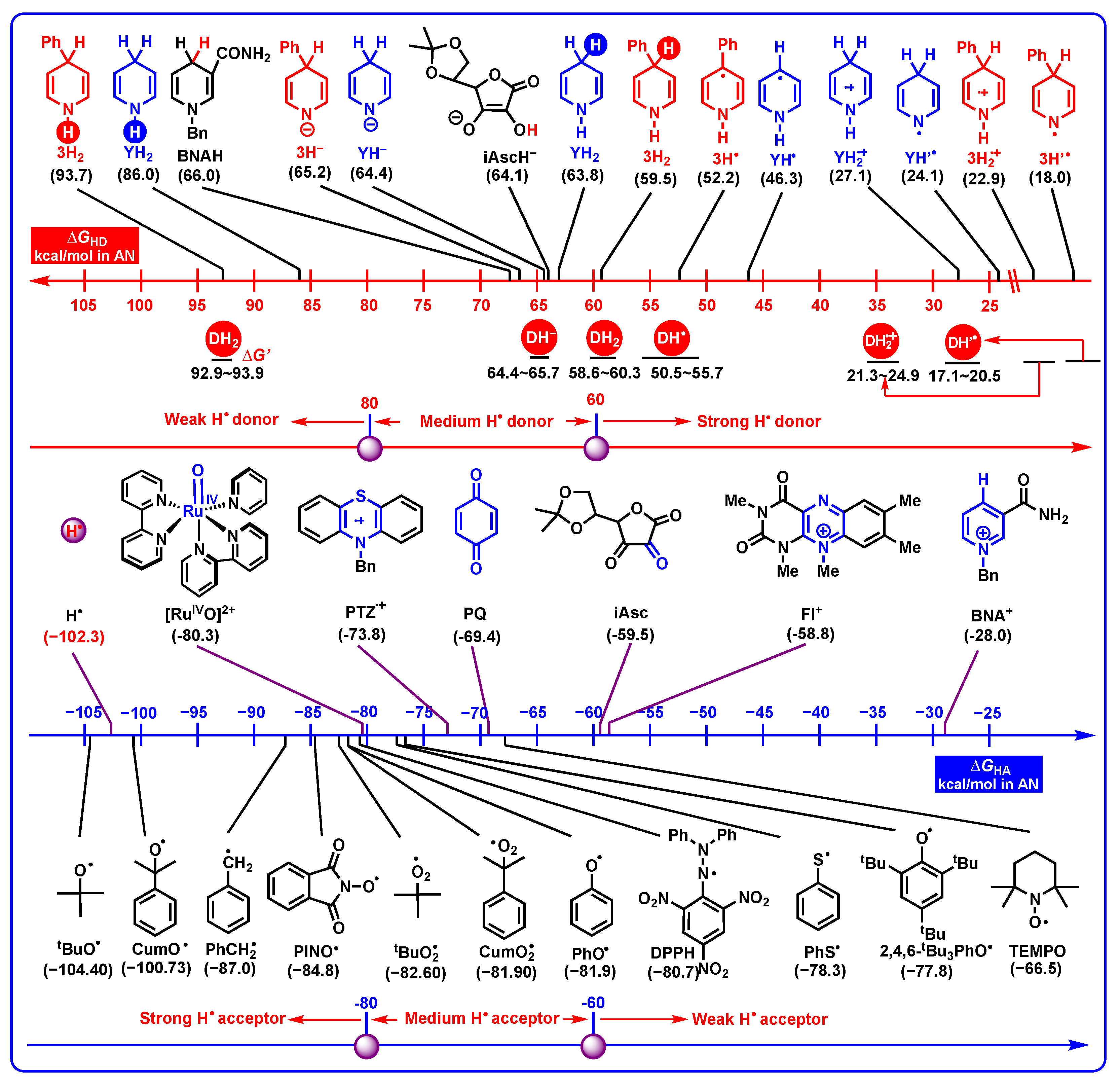 Molecules 29 03706 g007