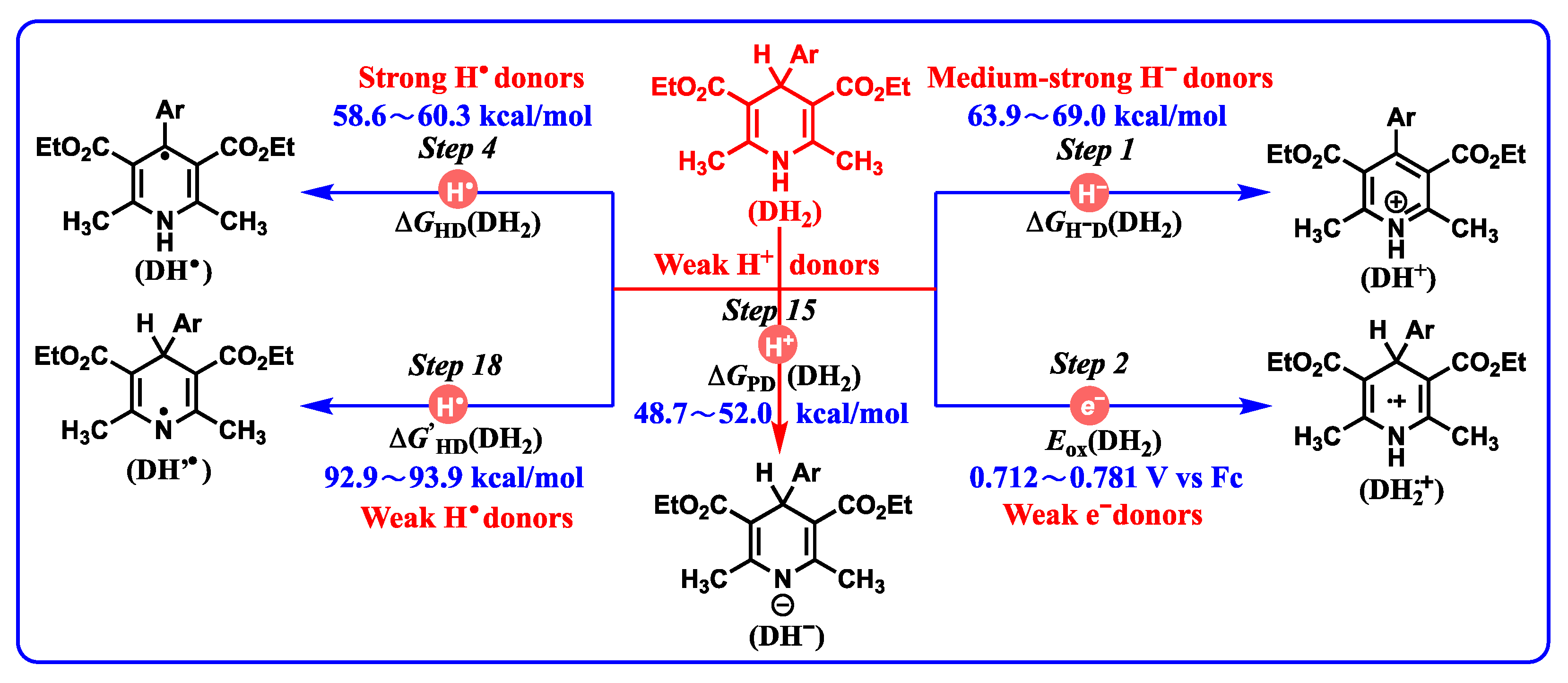 Molecules 29 03706 g010