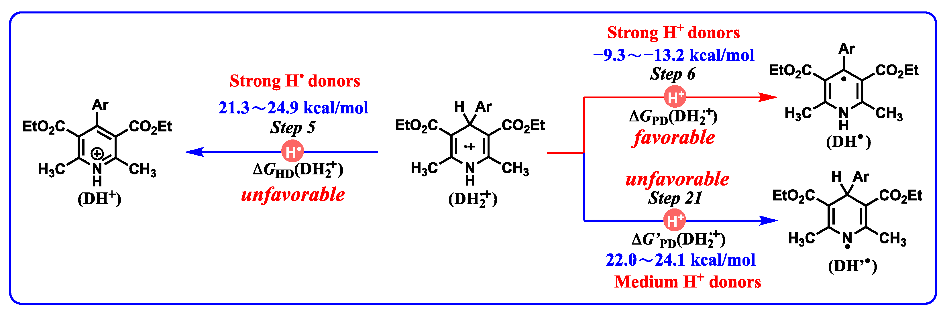 Molecules 29 03706 g011