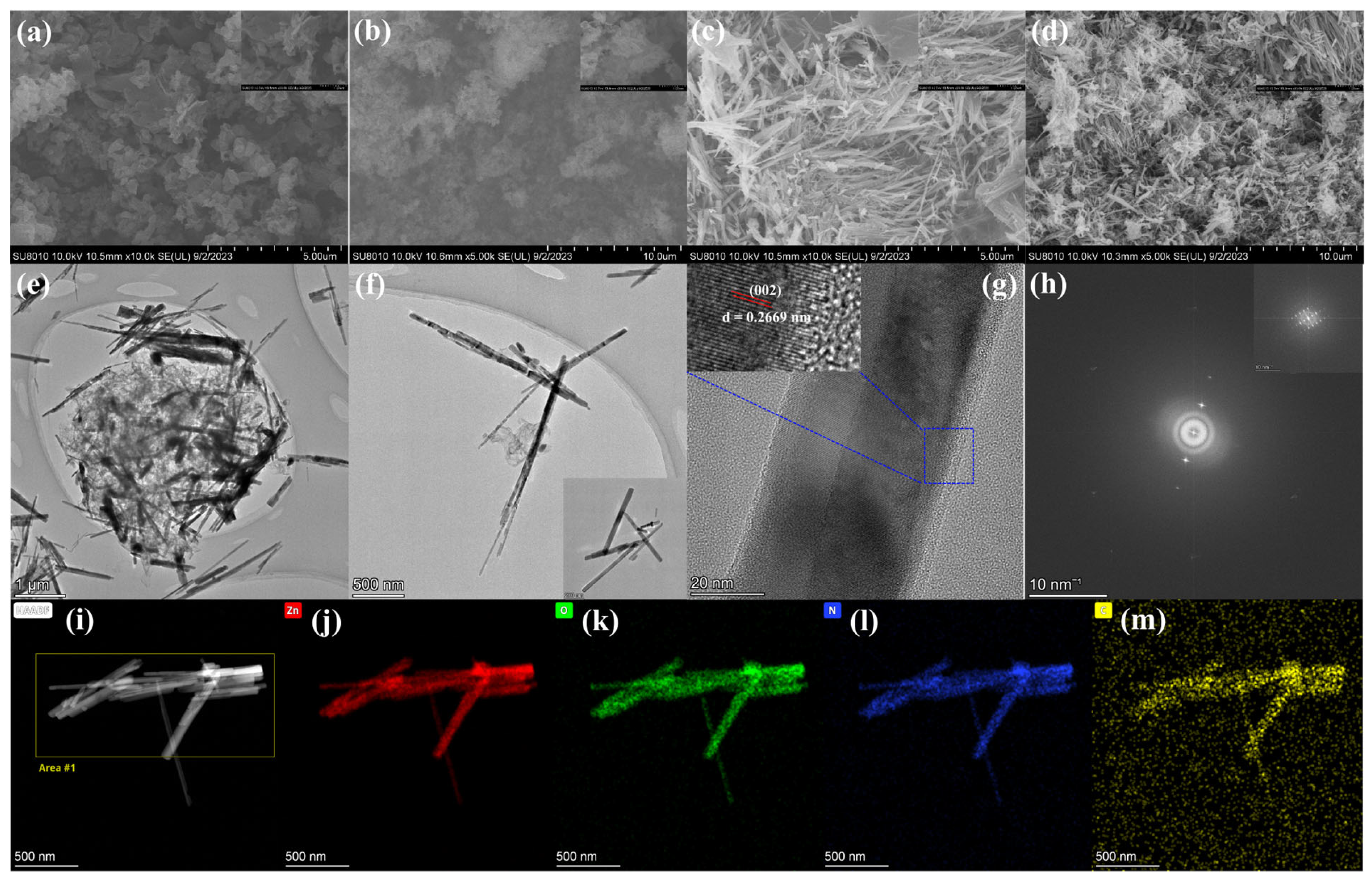 Molecules 29 03716 g004