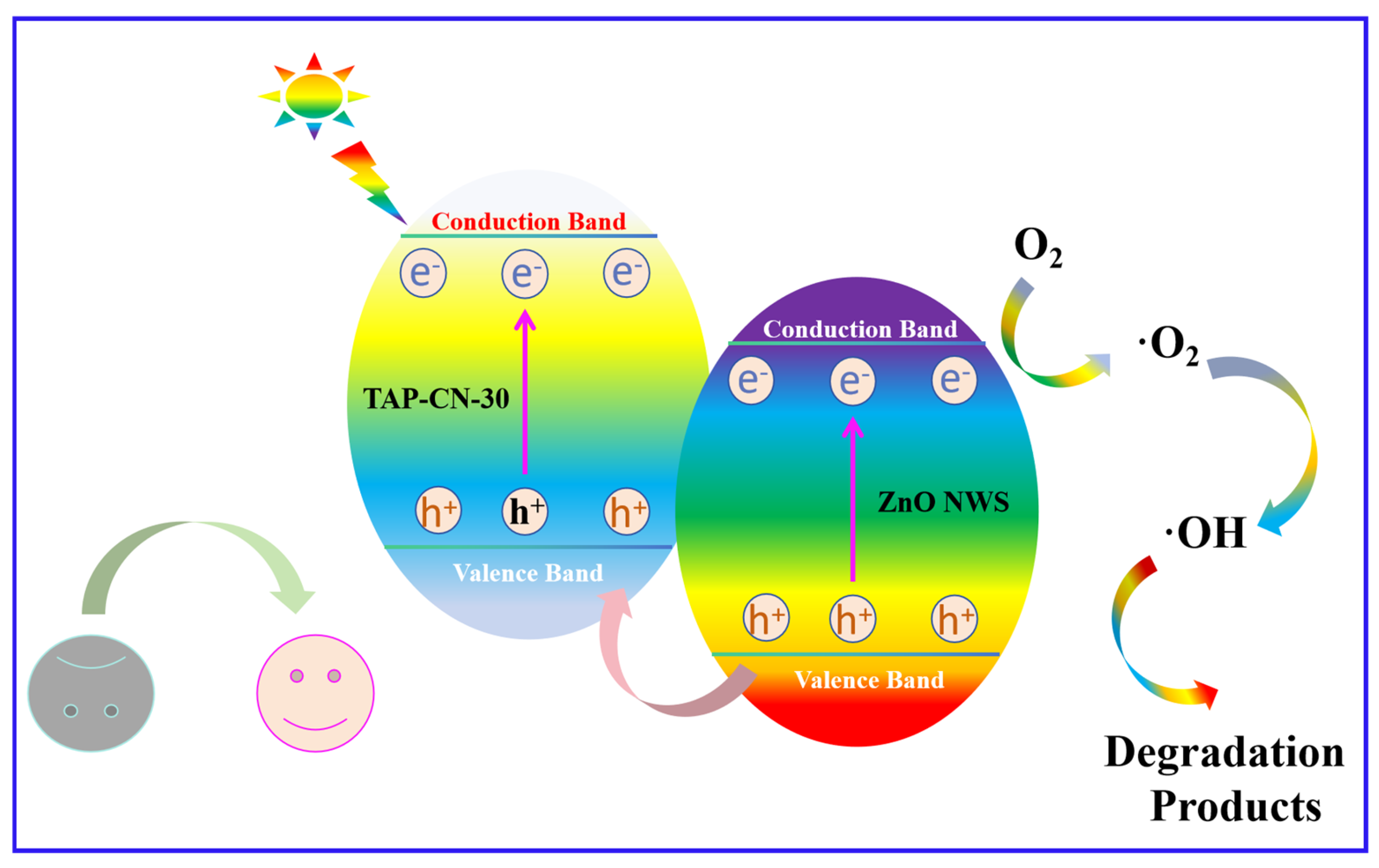Molecules 29 03716 g006