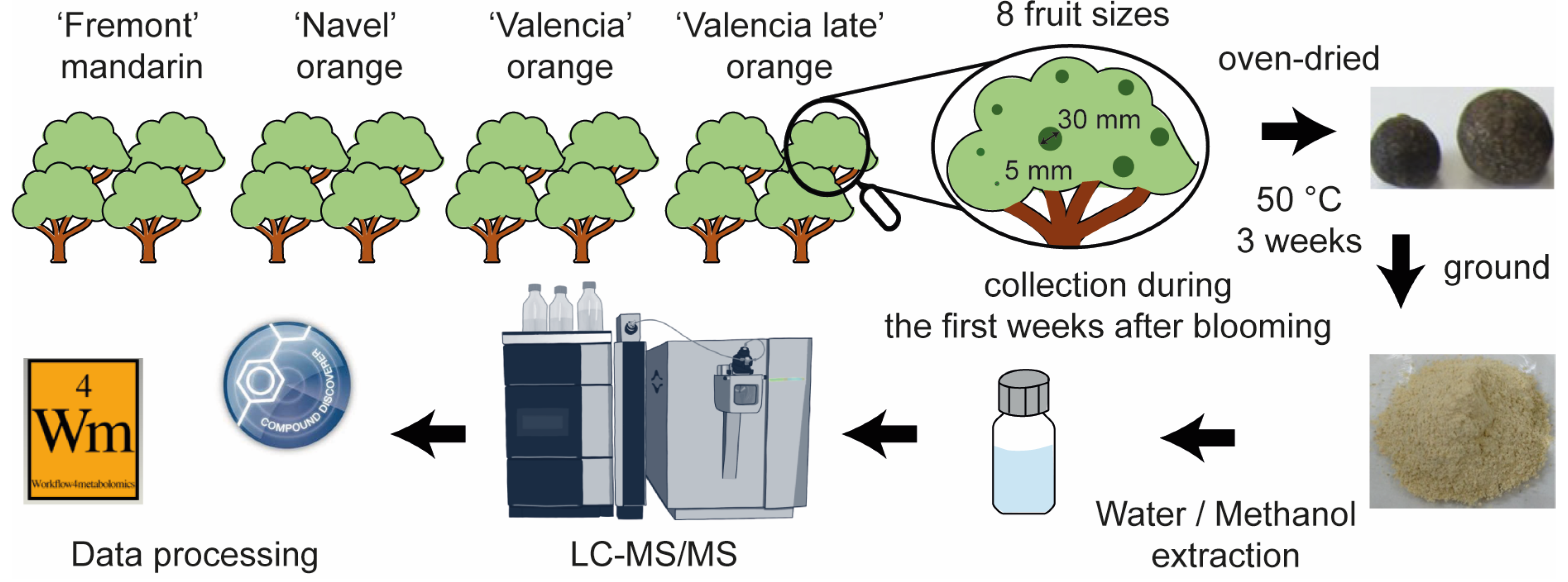 Molecules 29 03718 g001