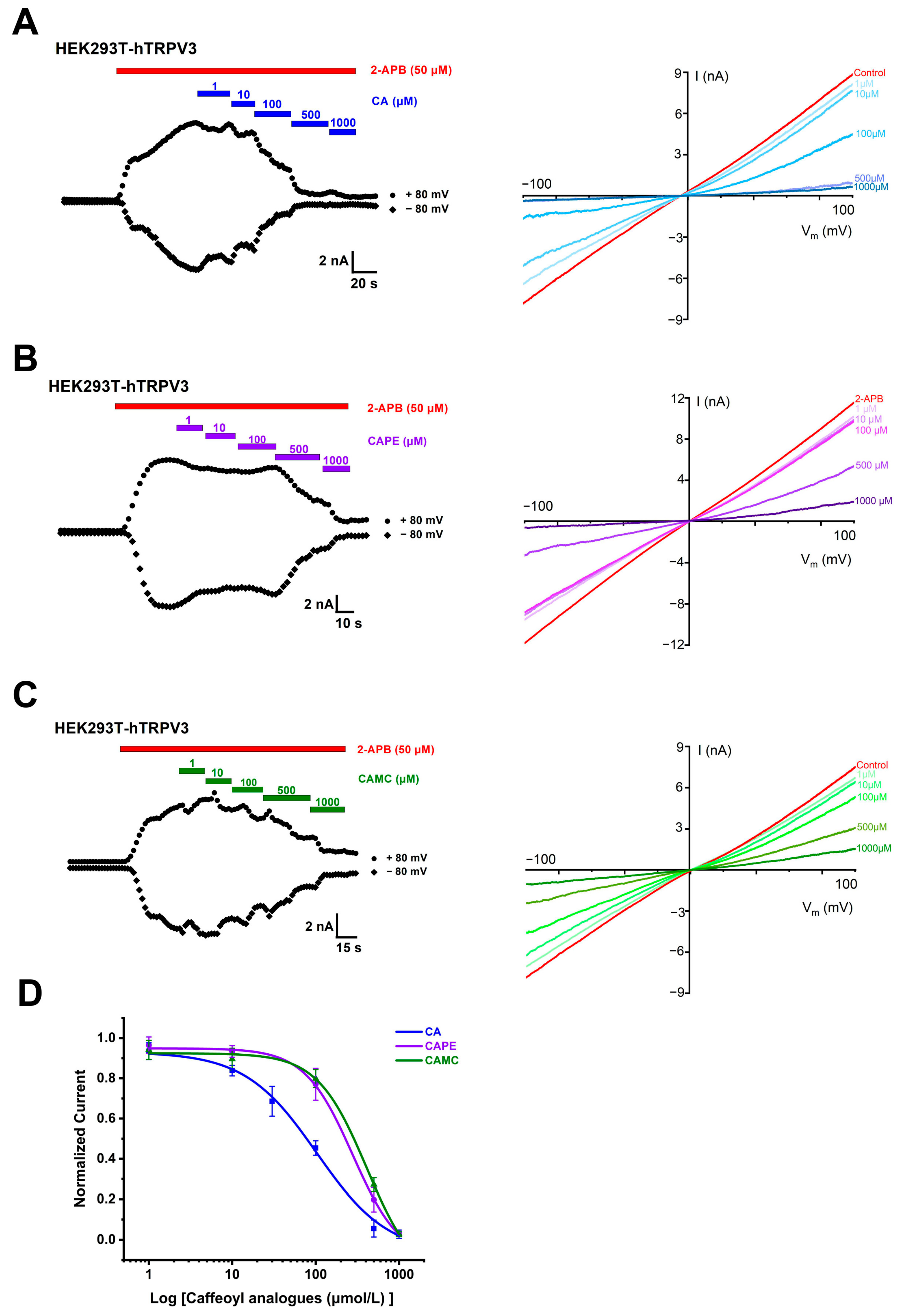 Molecules 29 03728 g002